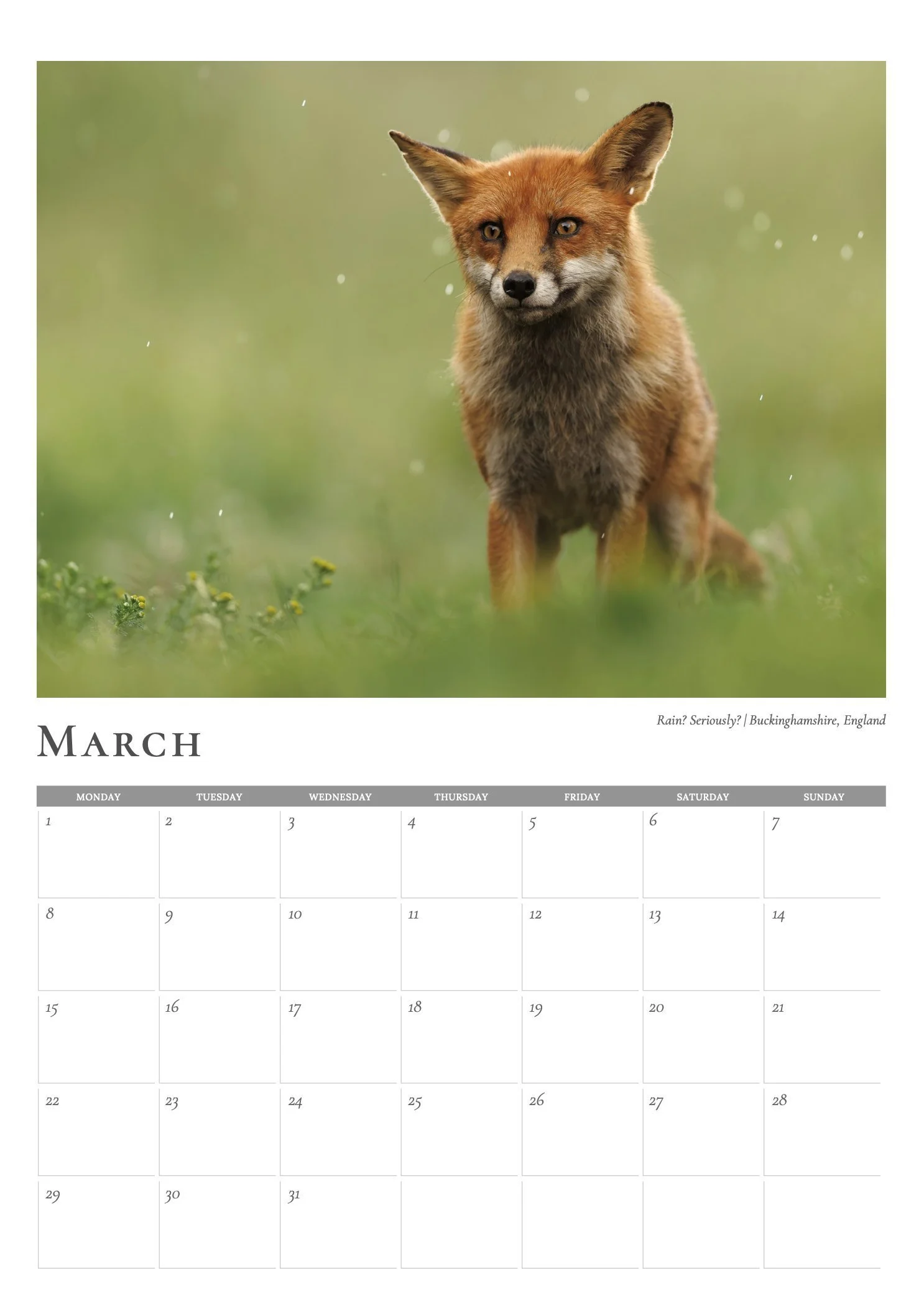 Fox-March.jpg