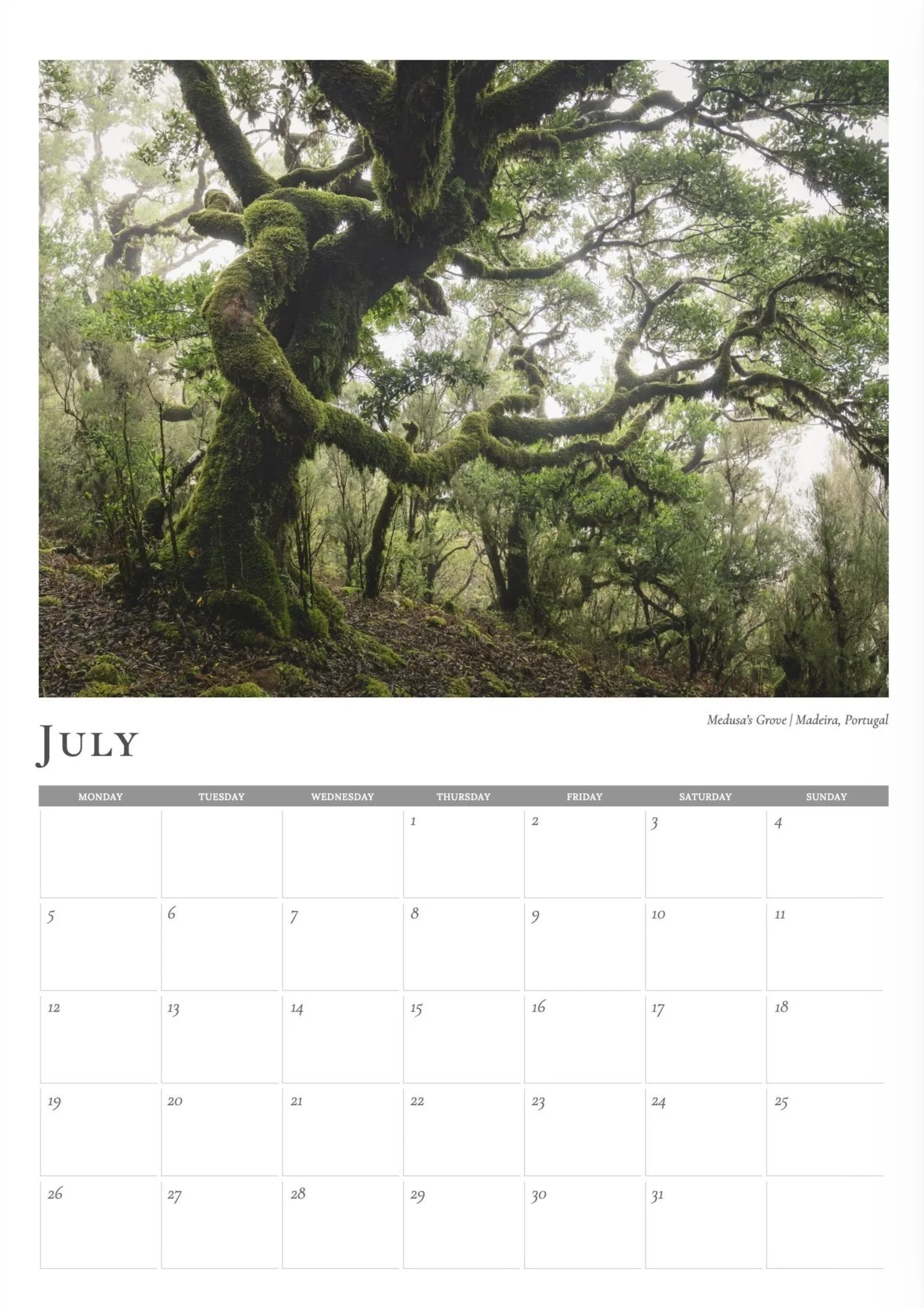 Maderia-July.jpg