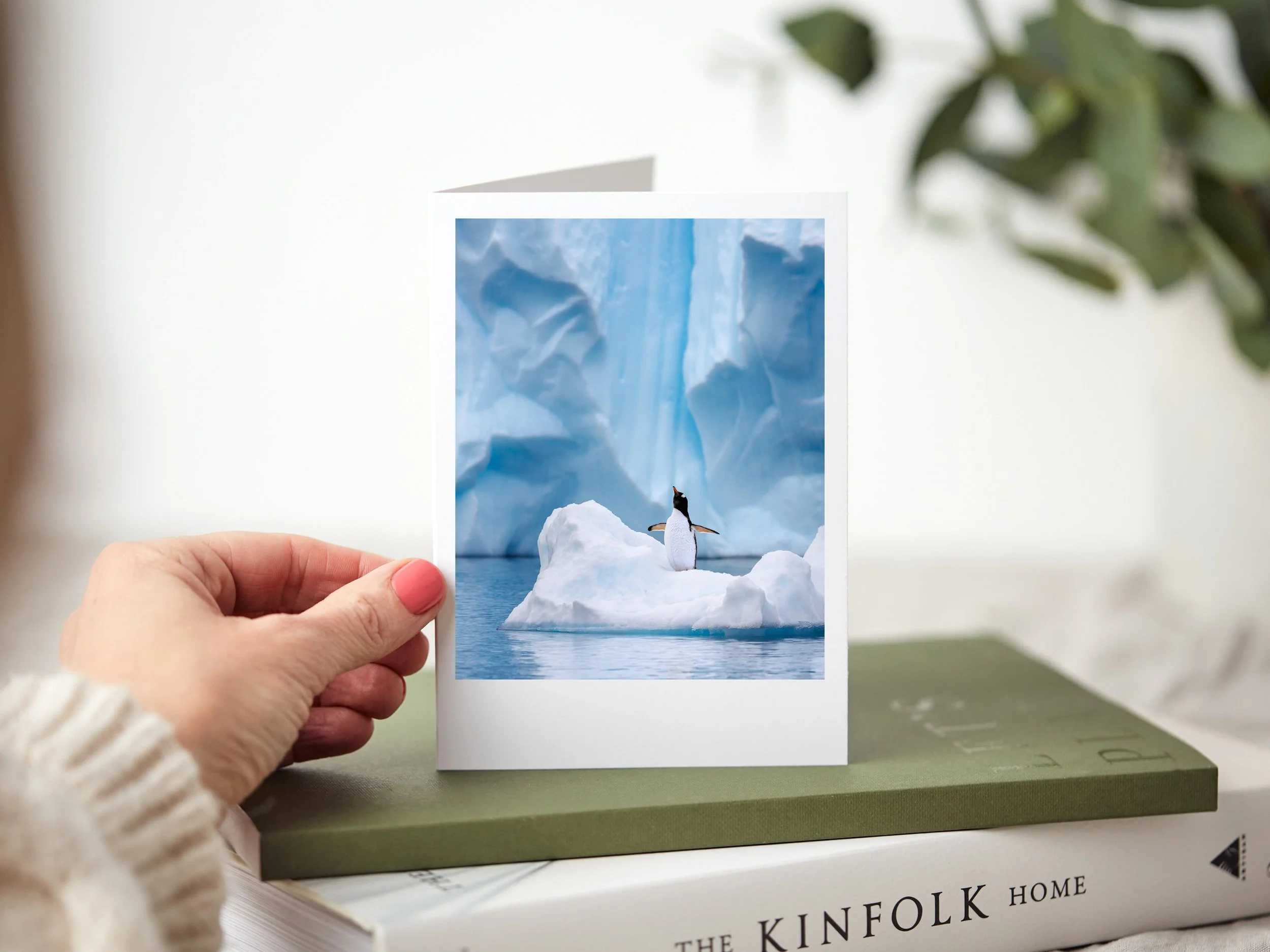 Penguin greeting card