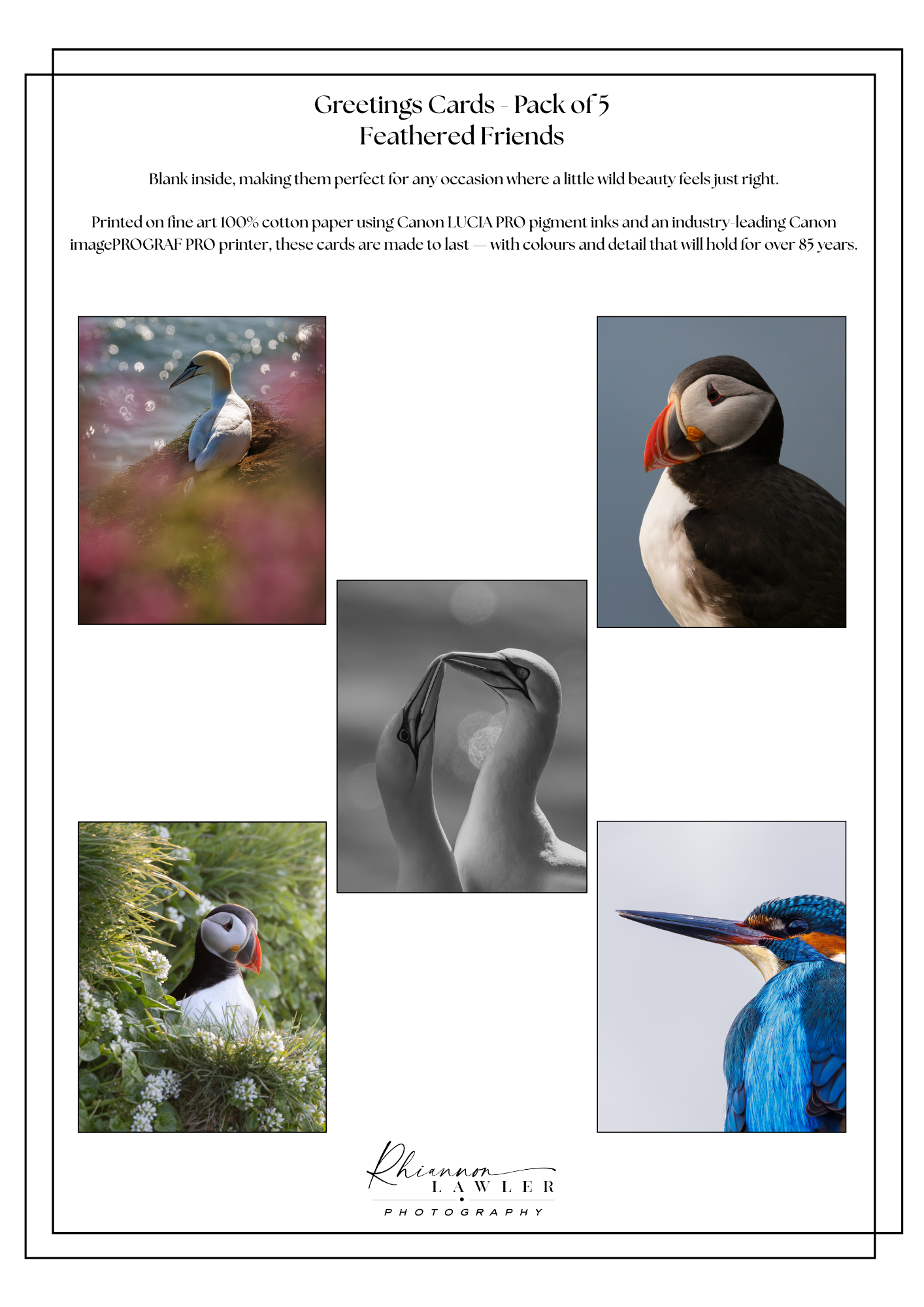 Feathered Friends Greeting cards