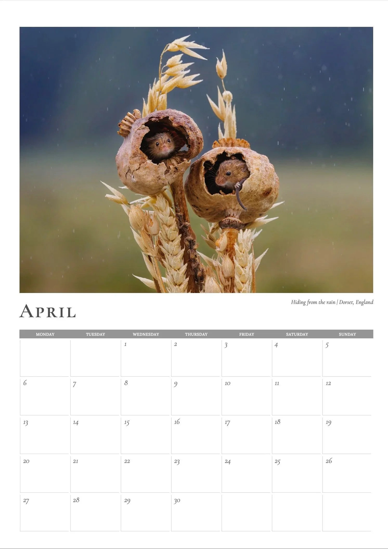 2026 Photo Calendar - April