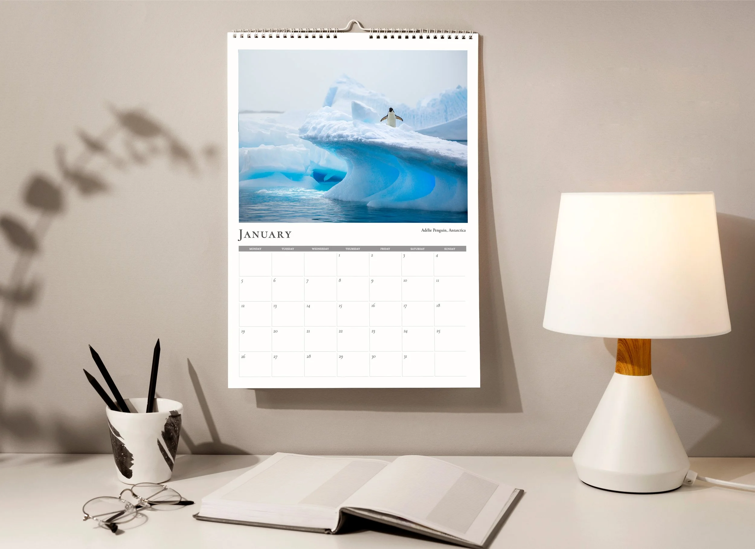 ***PRE-ORDER & FREE WORLDWIDE DELIVERY***  Landscape & Wildlife Photography Calendar 2027