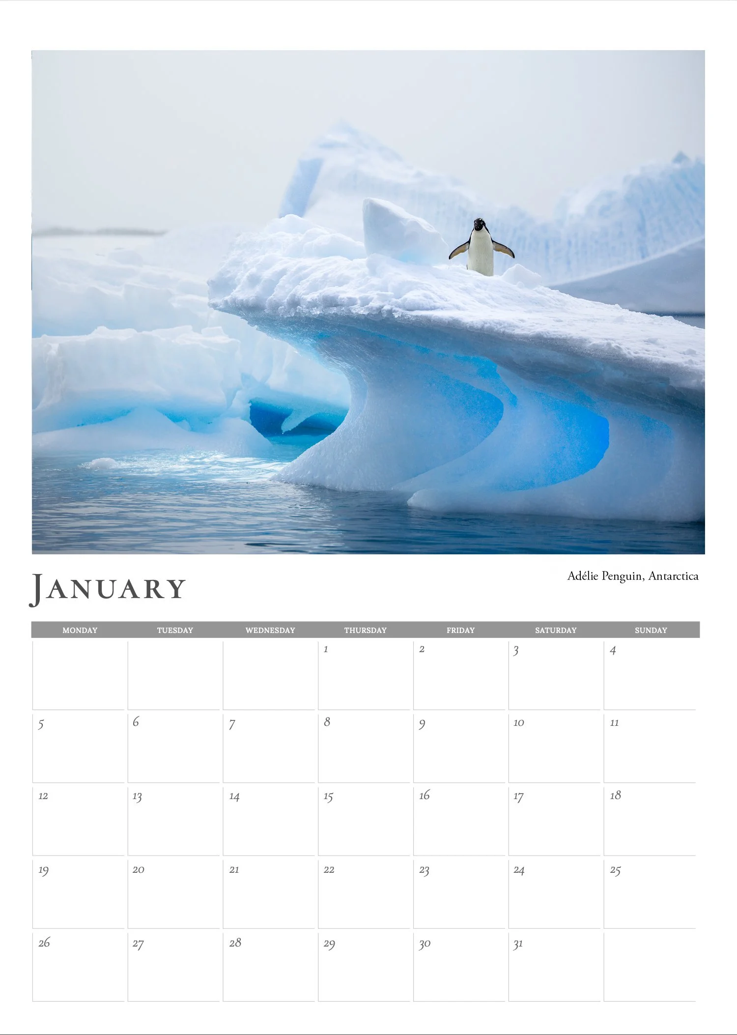 Web-Image-Jan.jpg