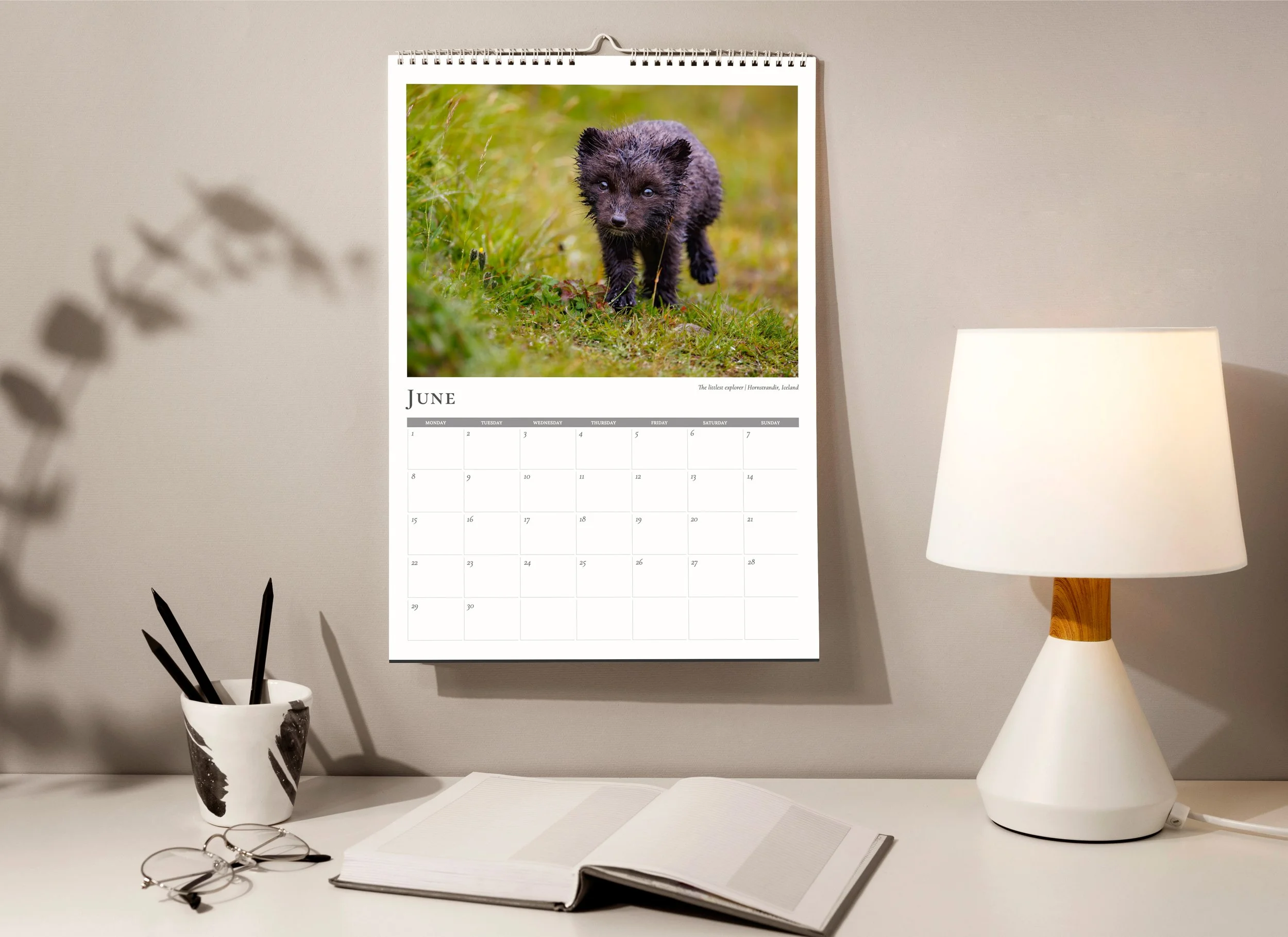 2026 Photo Calendar - full view