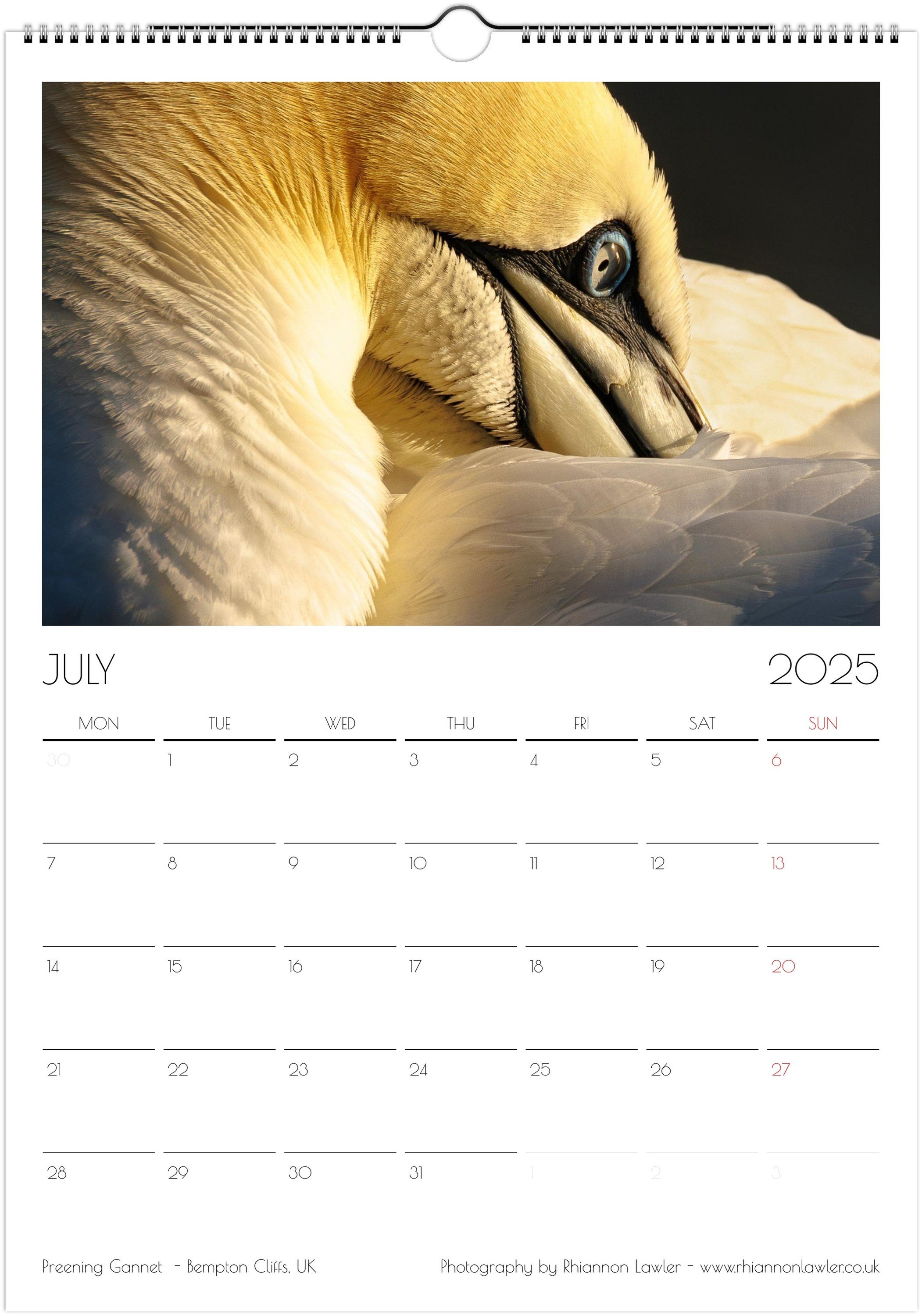 month-7.jpeg