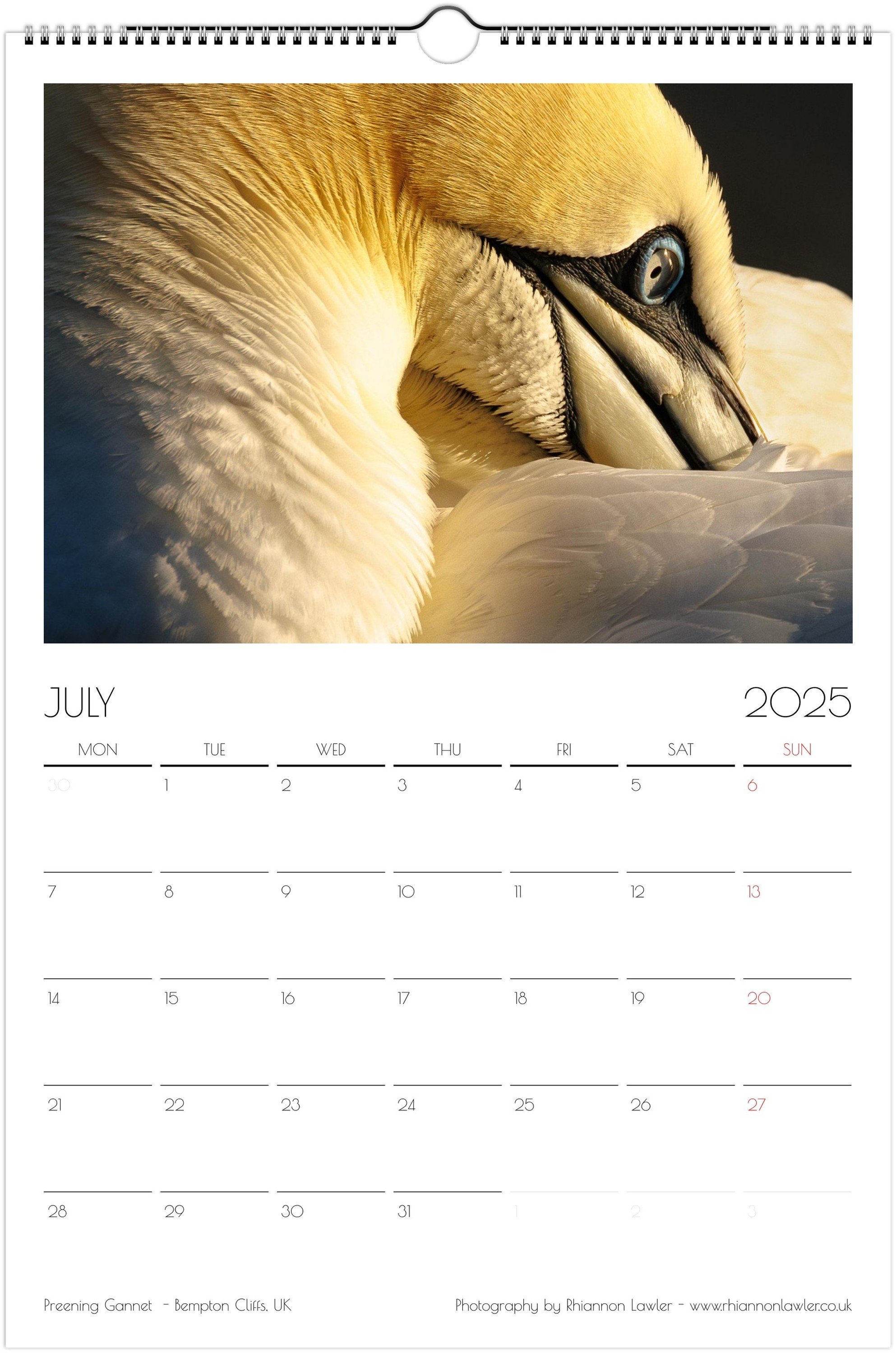 month-7.jpeg