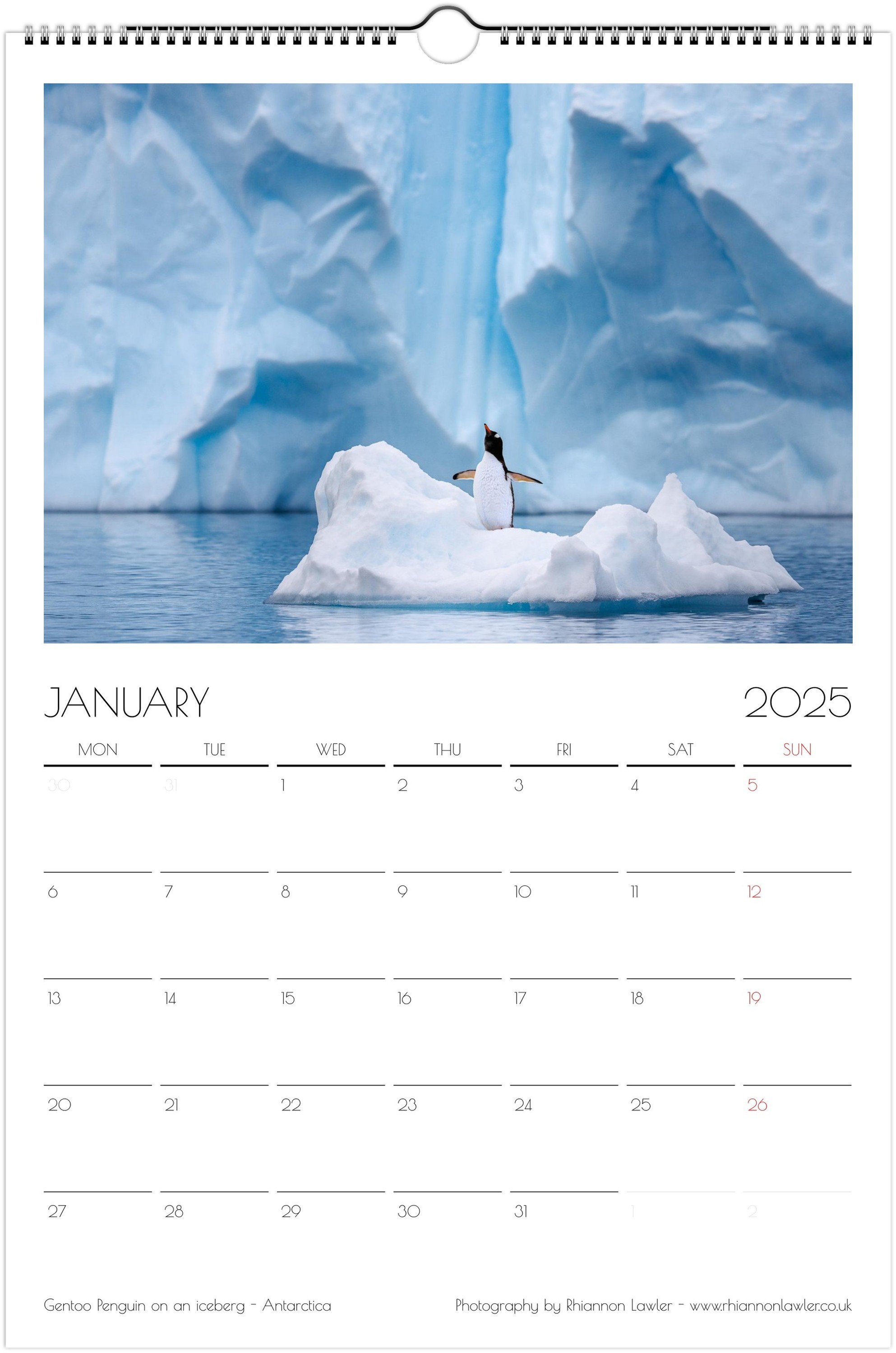 month-1.jpeg