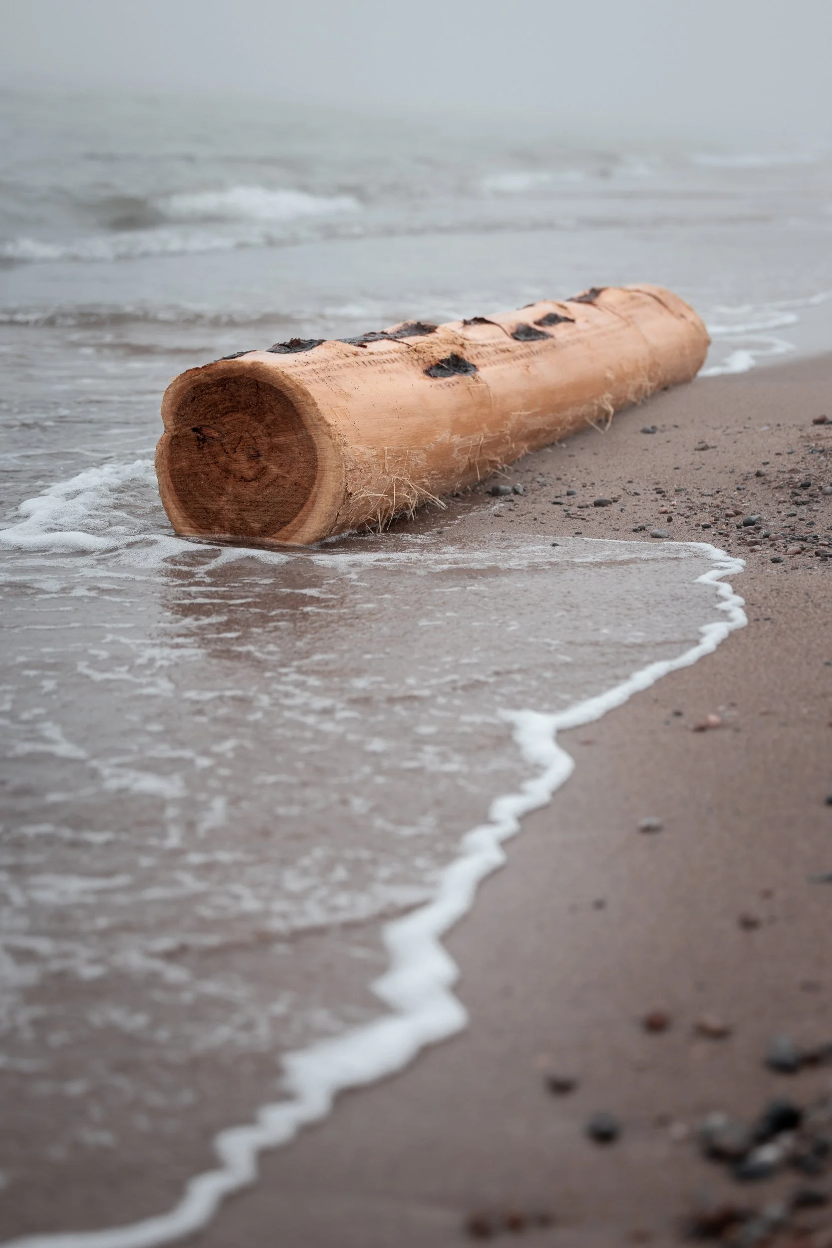 A log lying on the sandy beach with gentle waves approaching.