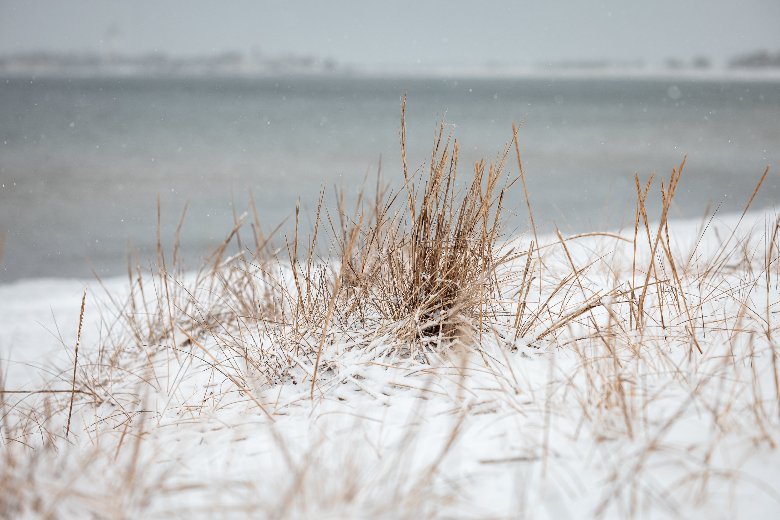 Snow-covered grass with a body of water and distant shoreline in the background.