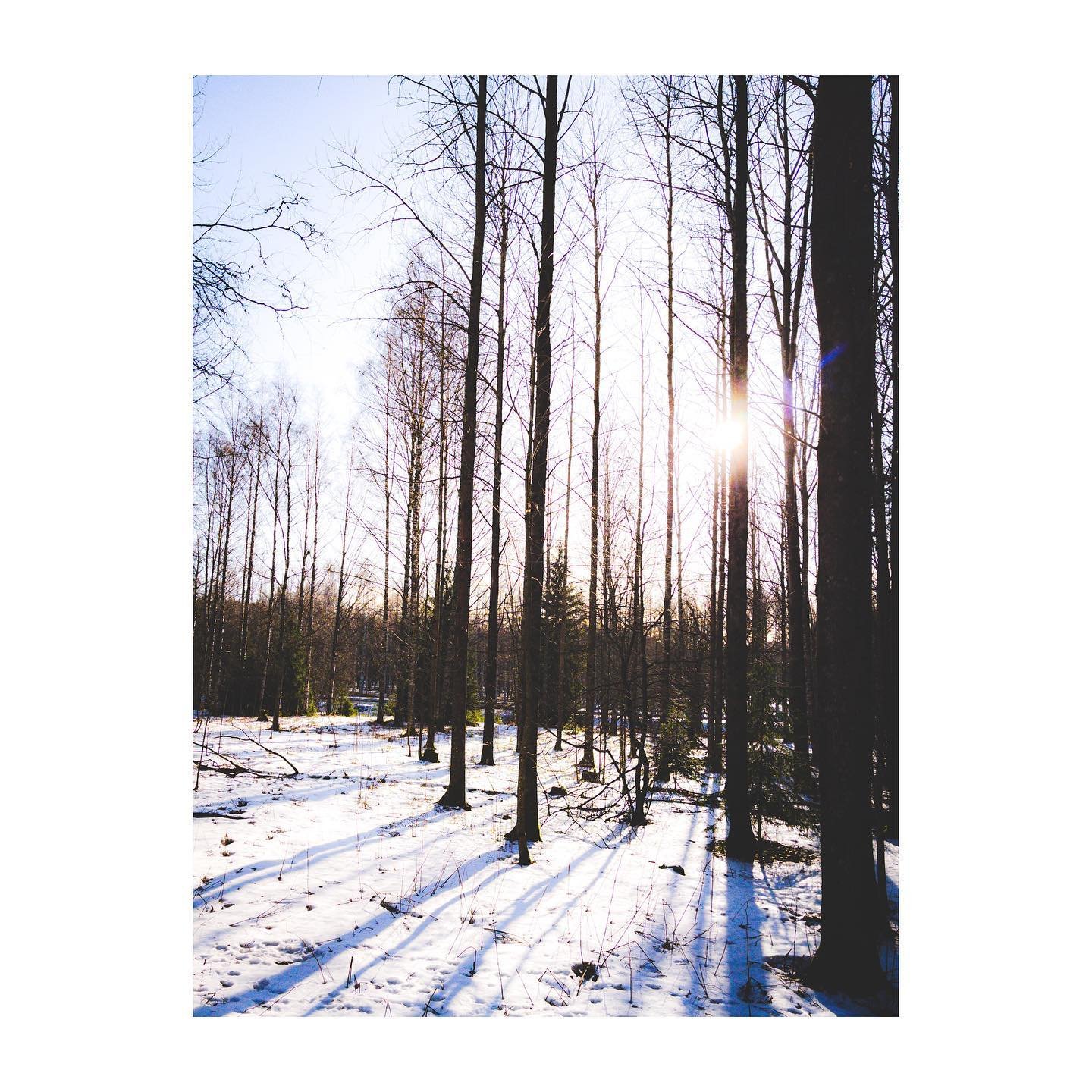 Spring vibes&hellip;