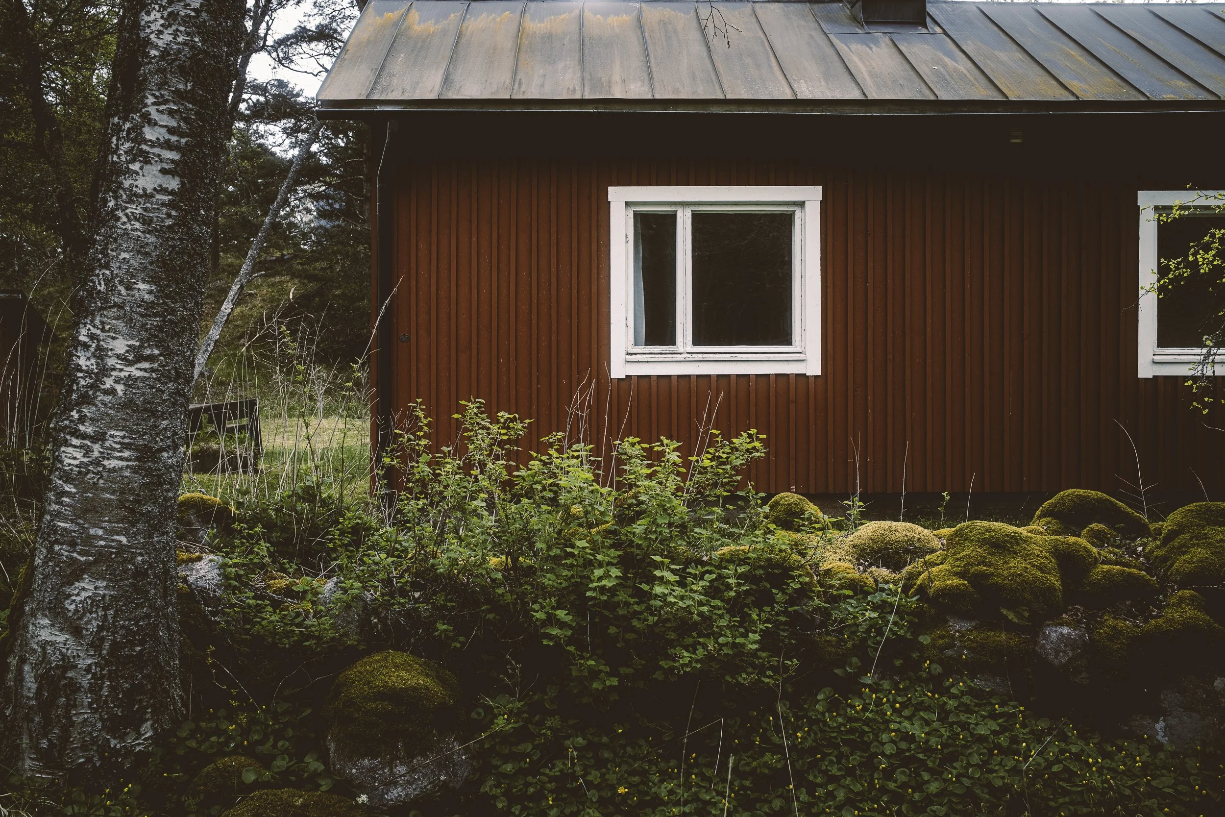 Tilanteen hyväksyminen sellaisenaan kuin se on