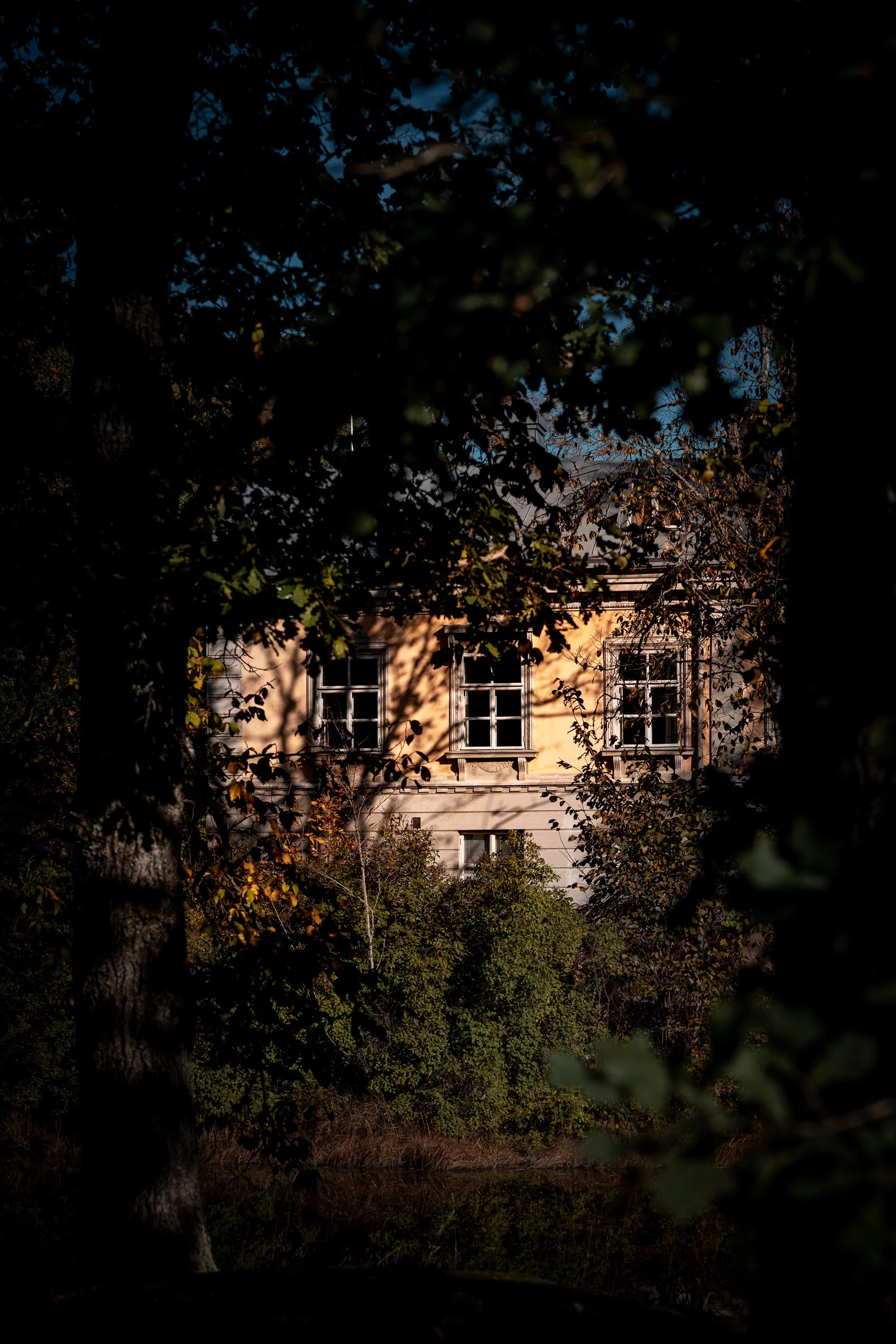 A house partially obscured by trees, with visible windows and shadows of branches on its facade.