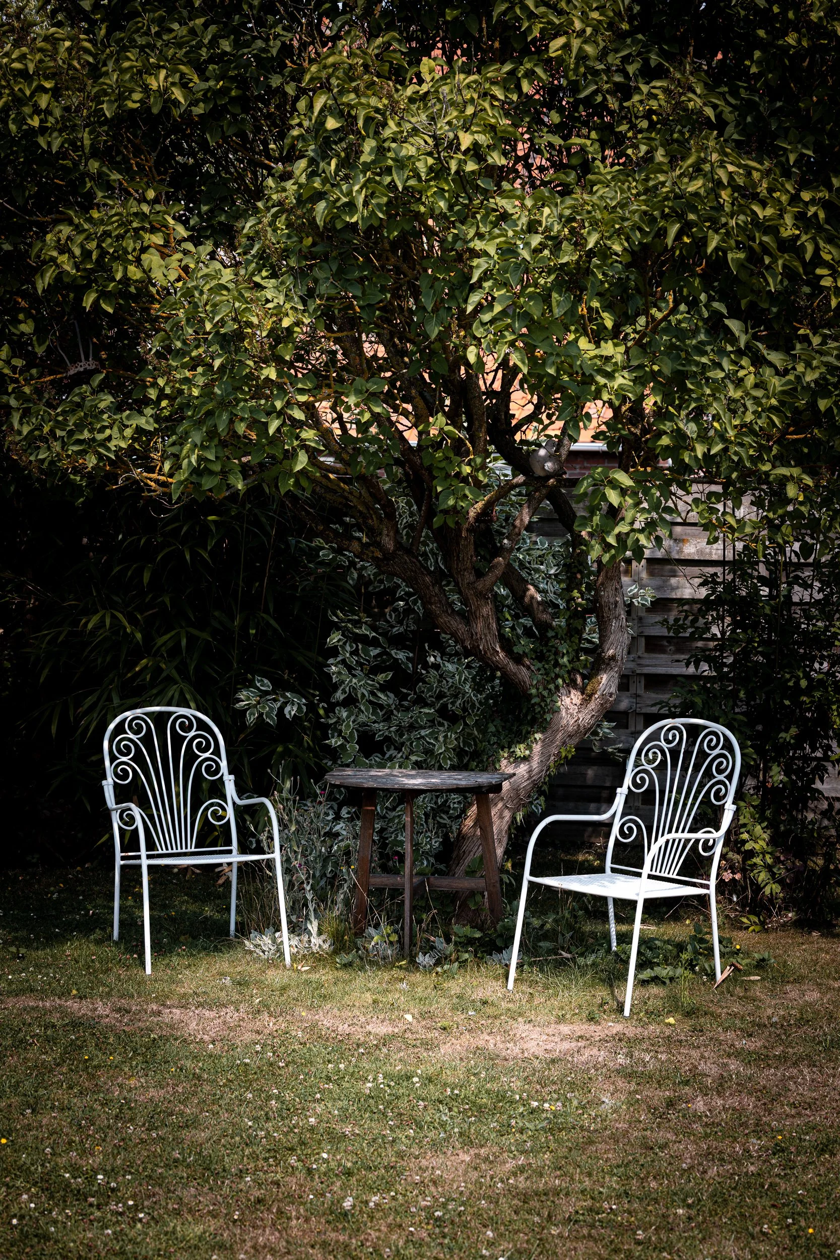 Two white outdoor chairs with ornate metal designs facing each other, with a small wooden table between them, set on a grassy yard with a large leafy tree in the background.