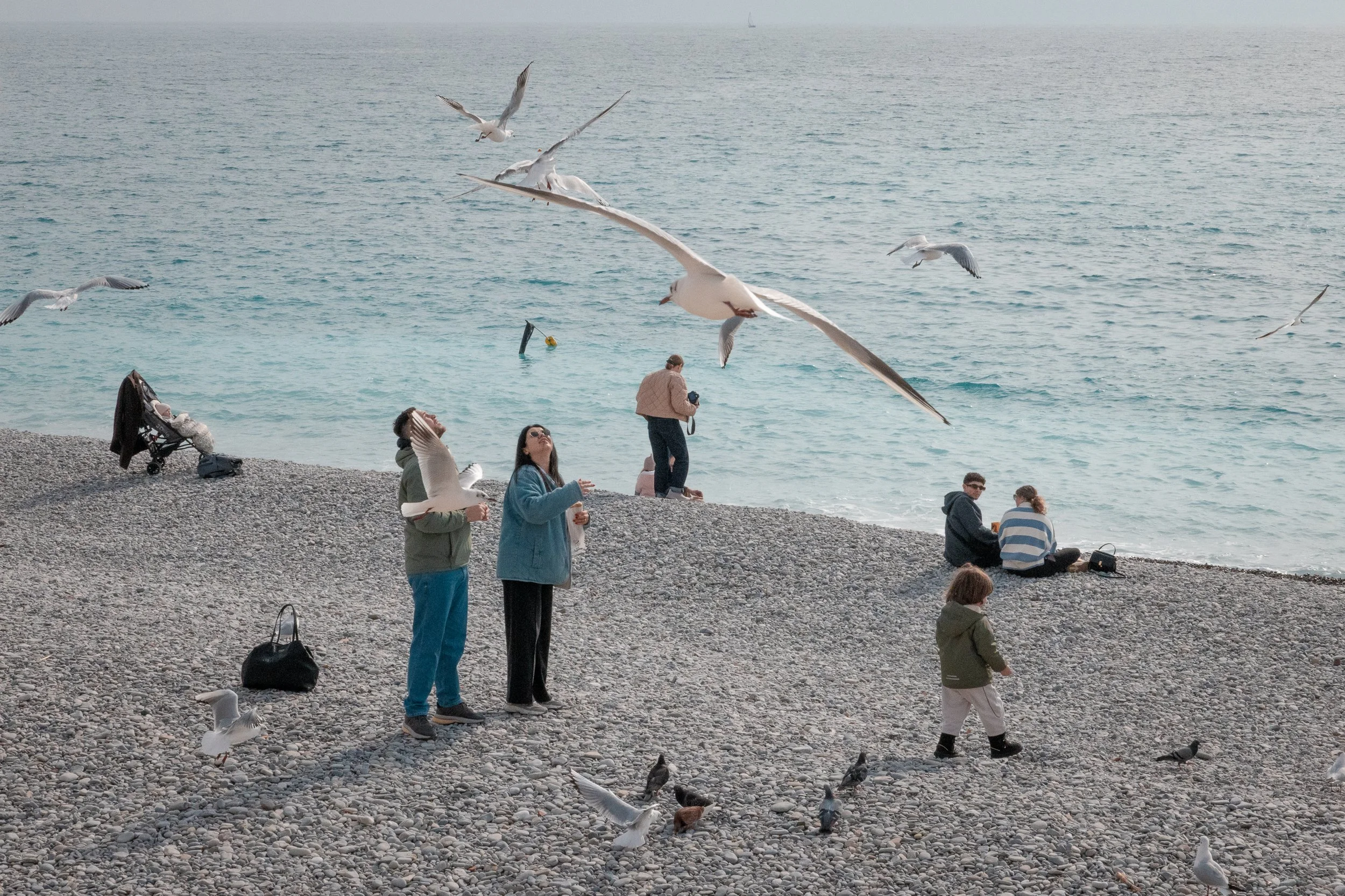 People on a pebble beach by the ocean, some feeding or observing seagulls flying overhead, with one person taking a photo, and others sitting and relaxing by the water.