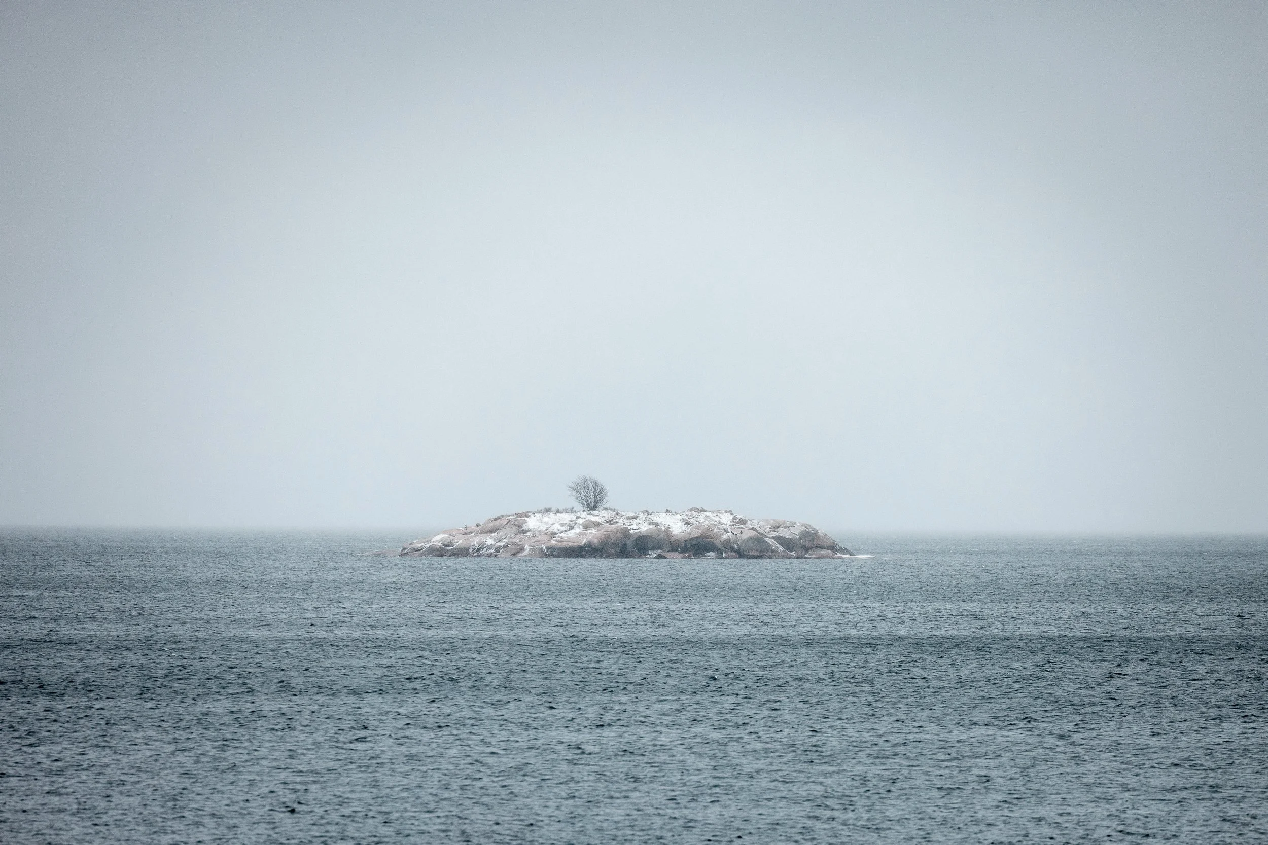 A small rocky island with a bare tree on top, surrounded by water, under a foggy, overcast sky.