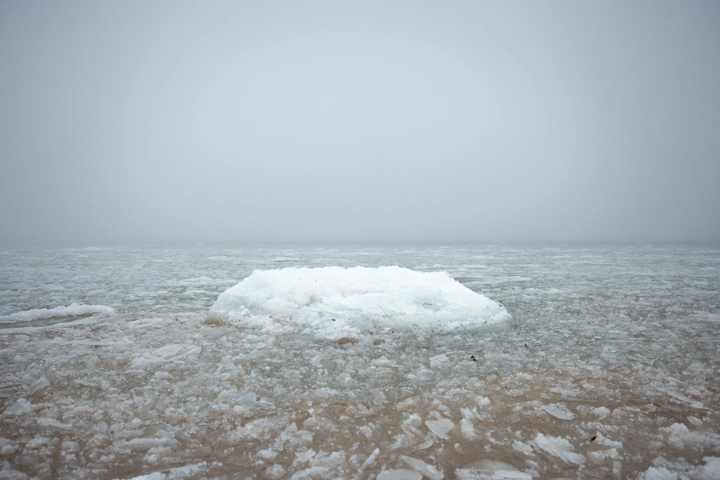 Ice floating on a frozen body of water, with gray overcast sky in the background.