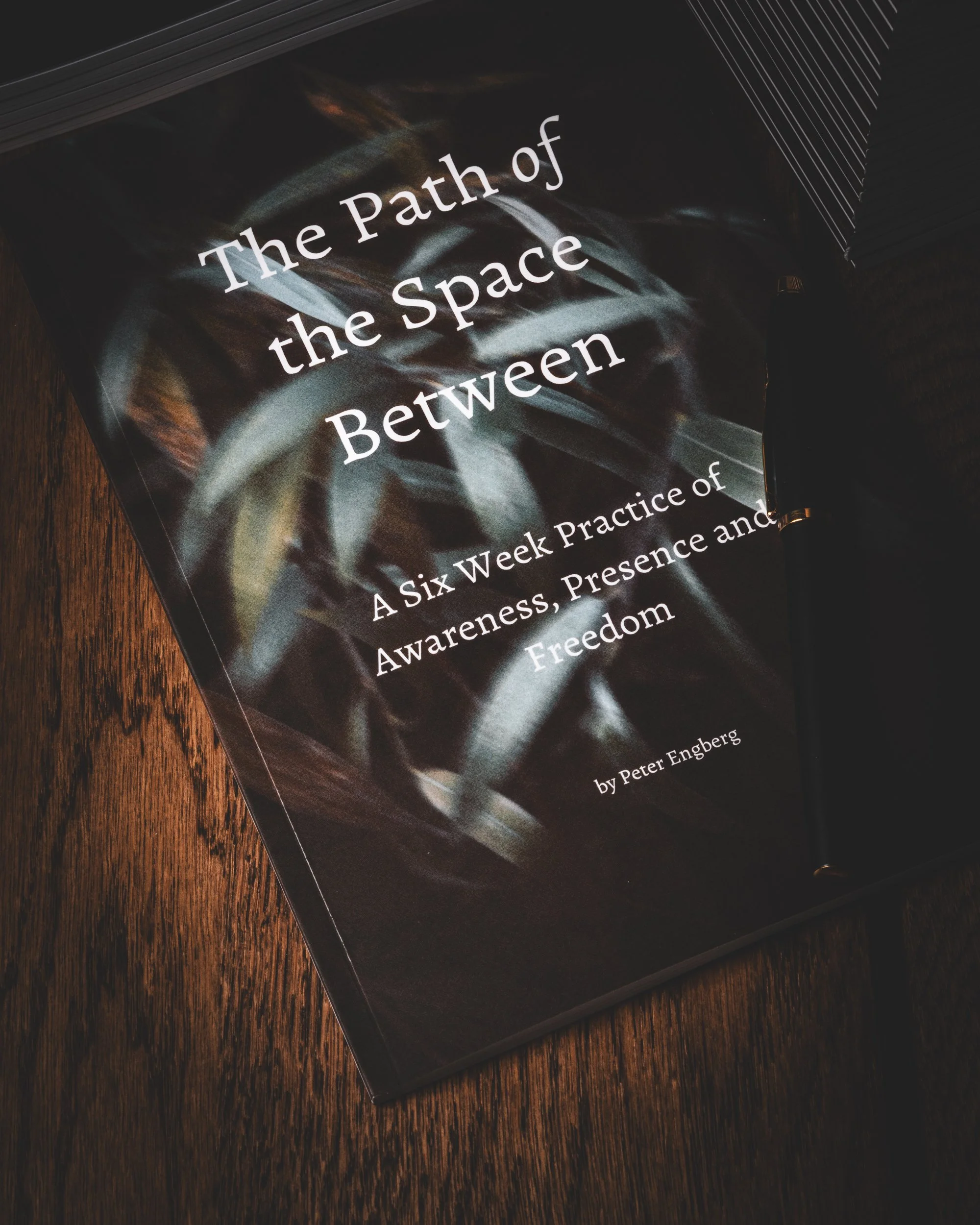 Book titled 'The Path of the Space Between' on a wooden surface.