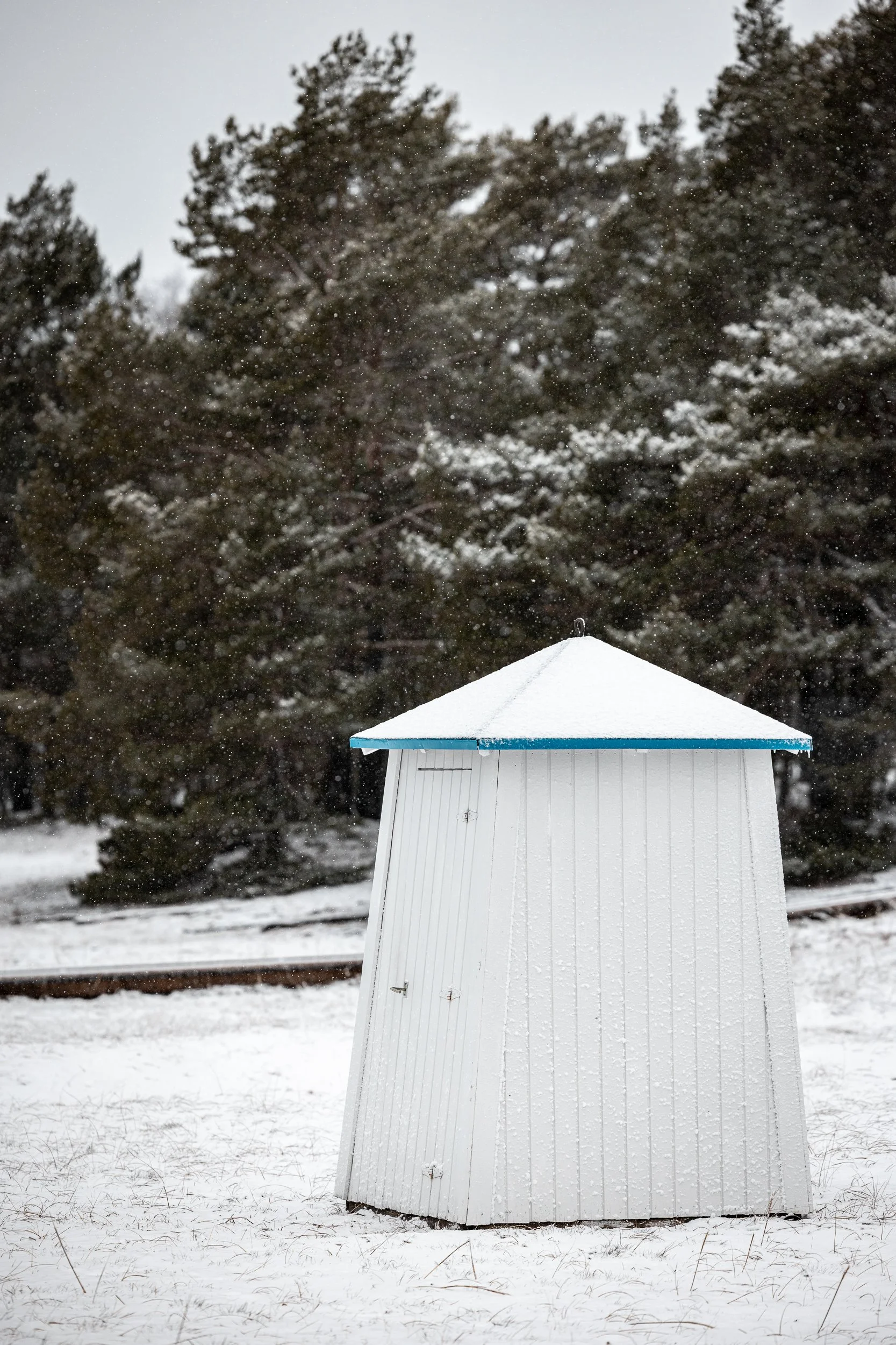 A small outdoor shed with white siding and a blue roof, covered in snow, standing on snow-covered ground with trees in the background during snowfall.