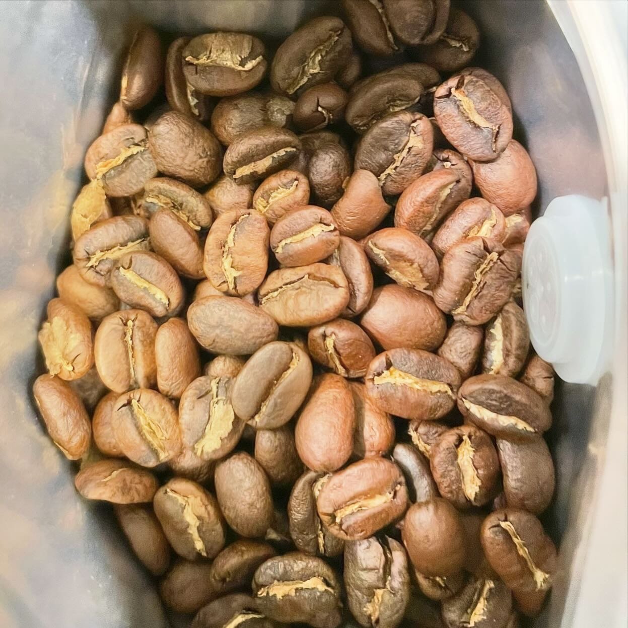 From Honduras with love.
.
.
.
.
.
.
#honduras #specialtycoffee #coffee #coffeetime #coffeelover #love #germany #germany🇩🇪 #deutschland #autumn #fall #style #caffeine #standartmag #art ##coffeeroasters #coffeeroaster #bayern #bavaria #n&uuml;rnberg