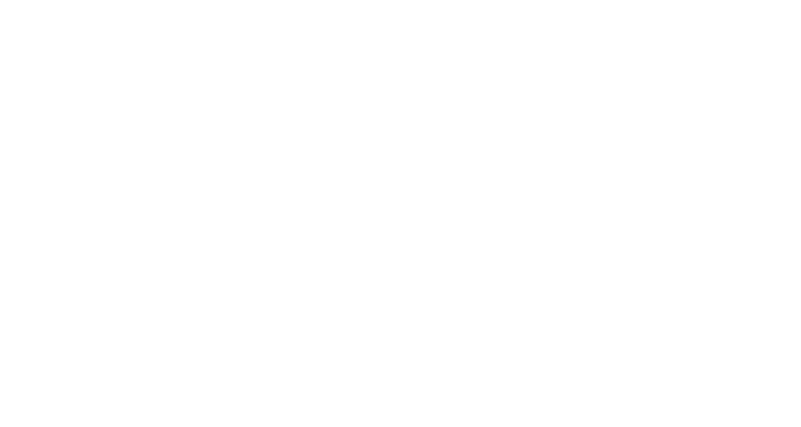 strategie en executie van evenementen