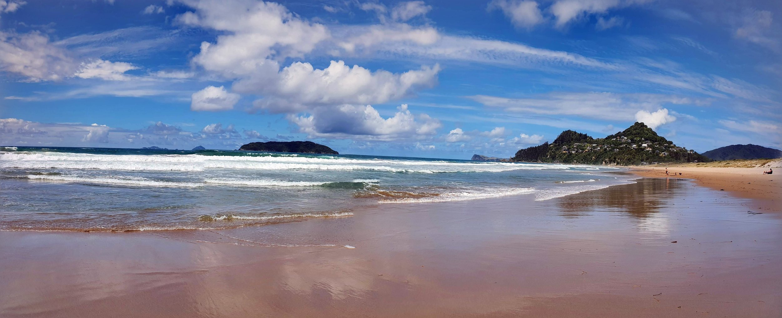 20210228_144429-PANO.jpg