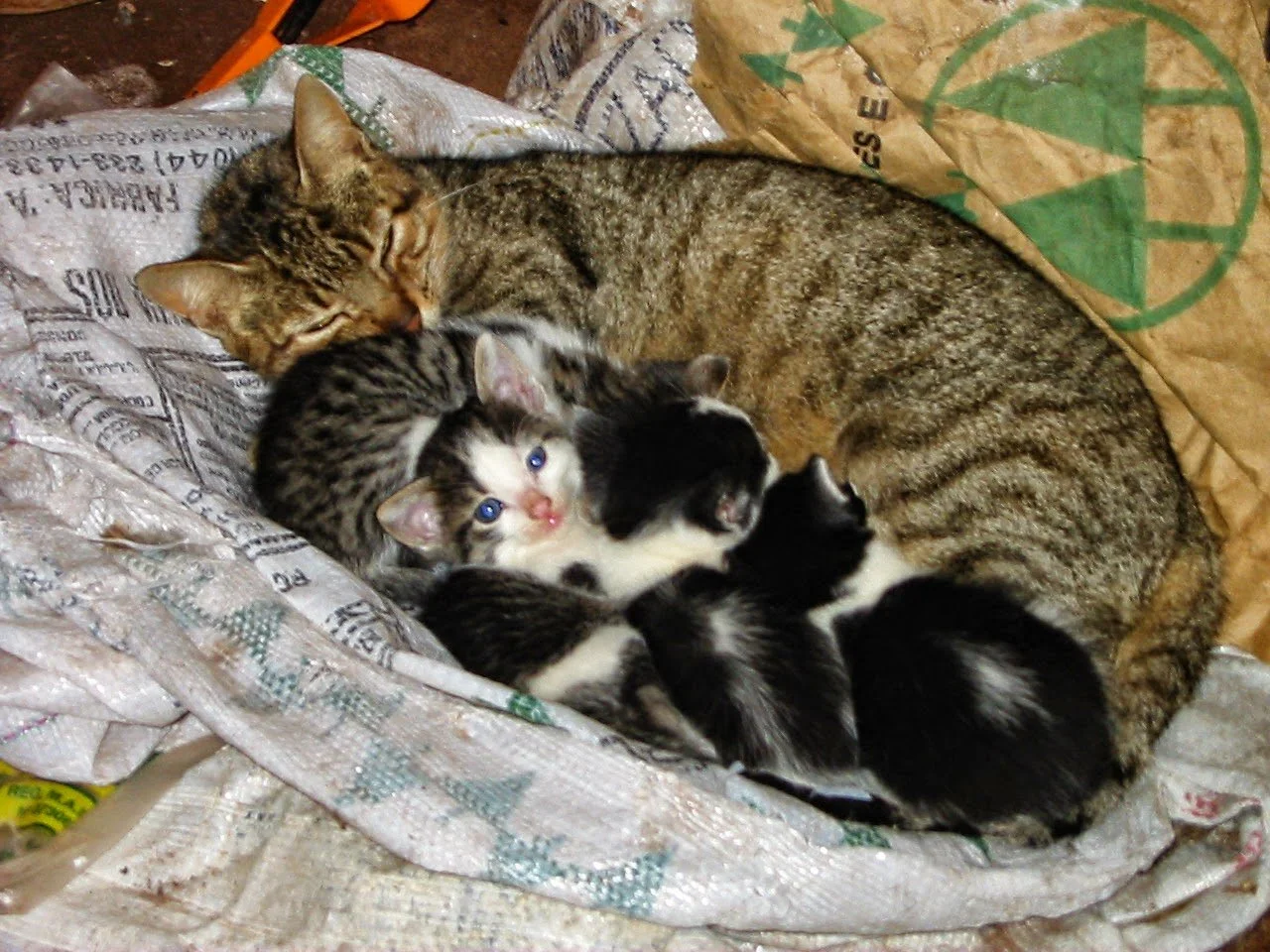 When Home Is No Longer Where We Thought It Was