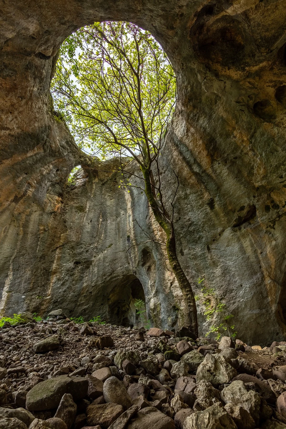 IMG_2165-HDR.jpg