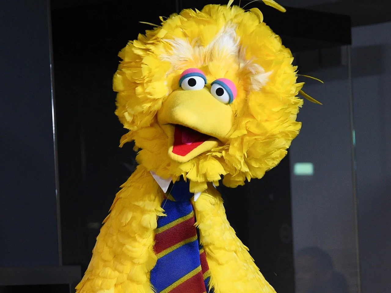 zMrMW2yX-bigbirdnewsletter-copy.jpg