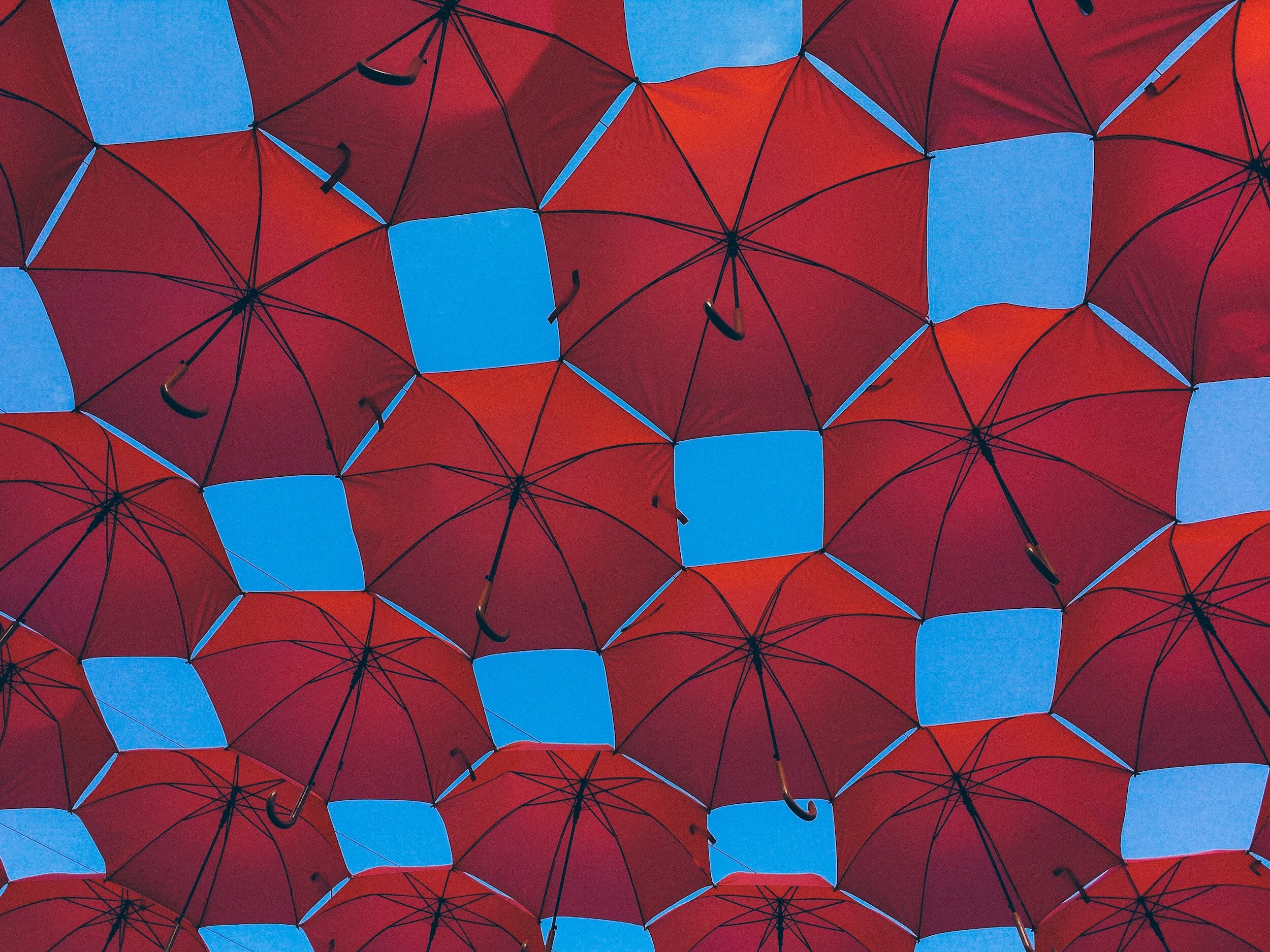 Red umbrellas