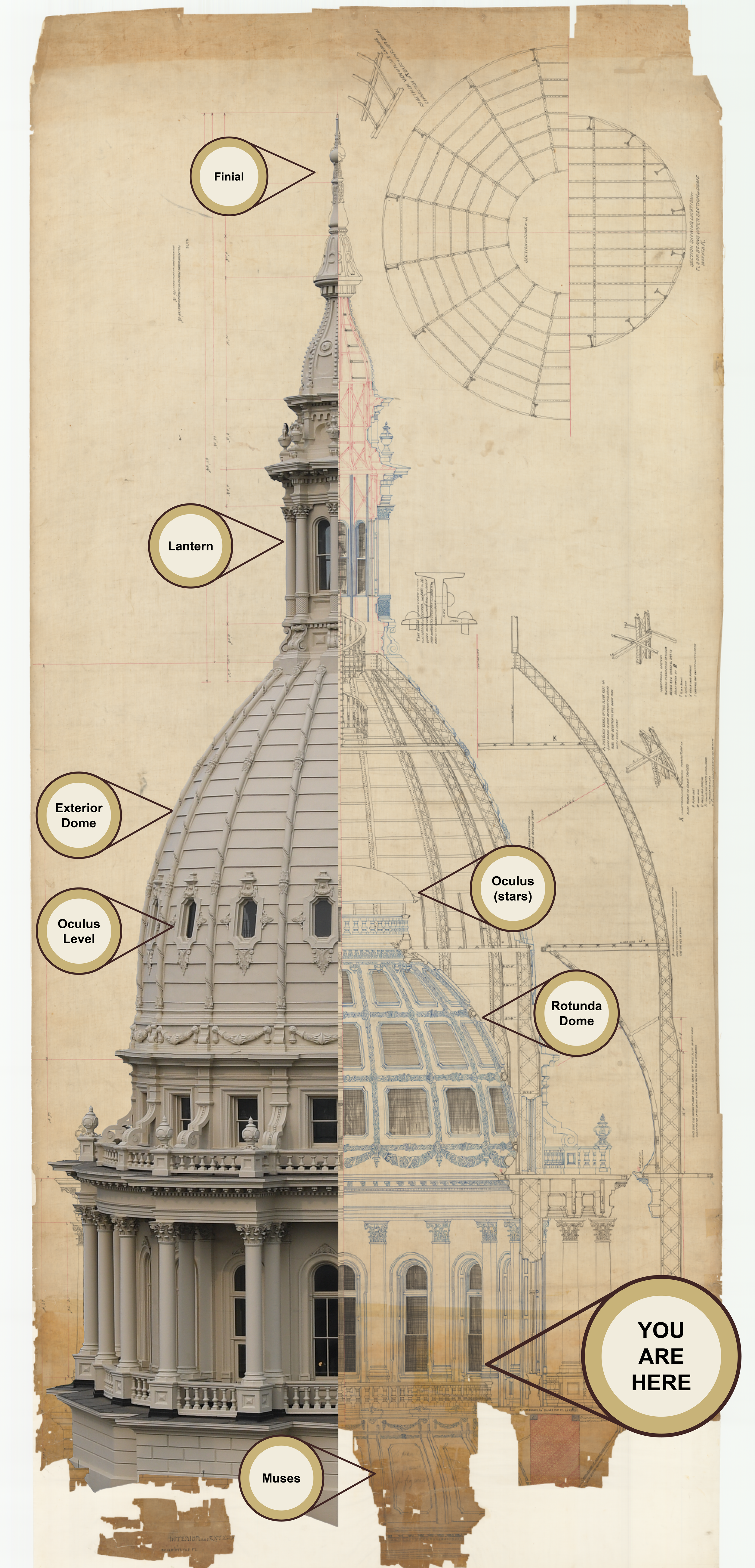 Architectural drawing of the dome with a photo of the dome superimposed over it showing the different levels of the dome with a "you are here" arrow pointing toward the bottom of the dome.