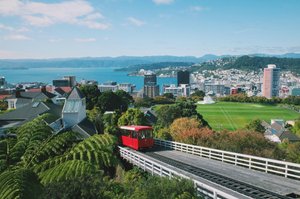 IMD Breathwork Wellington