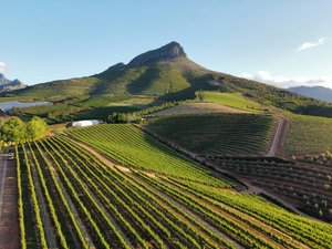 IMD Breathwork Stellenbosch