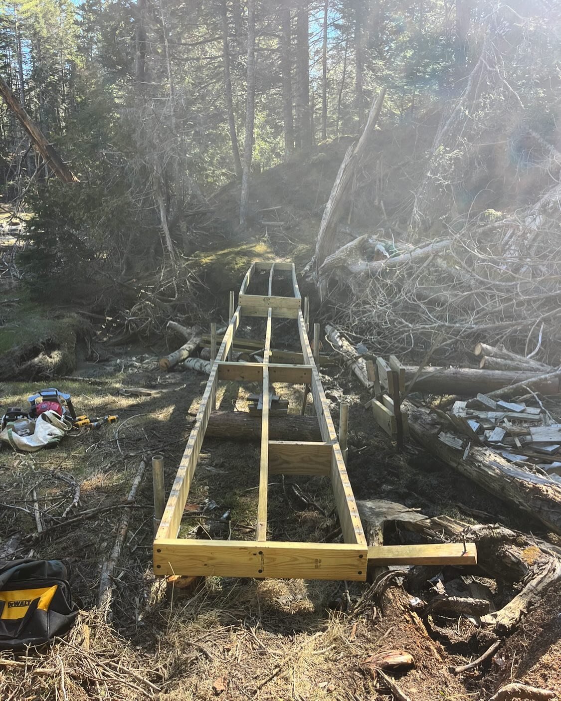 Making progress on bridge replacements at the Herbert Preserve, thank goodness for the beautiful weather! 

#landtrust #conservation #hiking #trails #landstewardship #ryderscove #maine #trailstewardship
