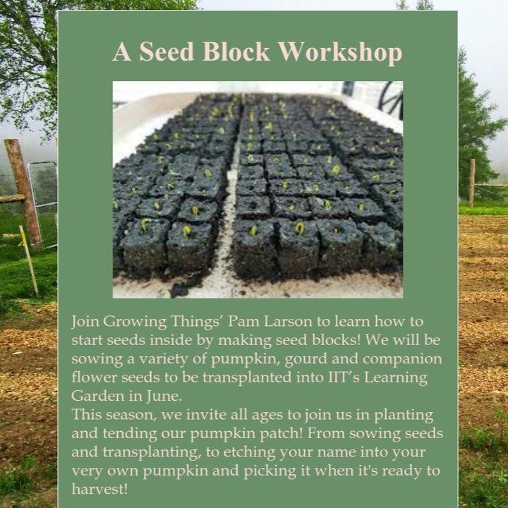 Saturday, May 11th, 10:00am at Growing Things Garden - A Seed Block Workshop w/ Pam Larson!

#localfood #islesboromaine #conservation