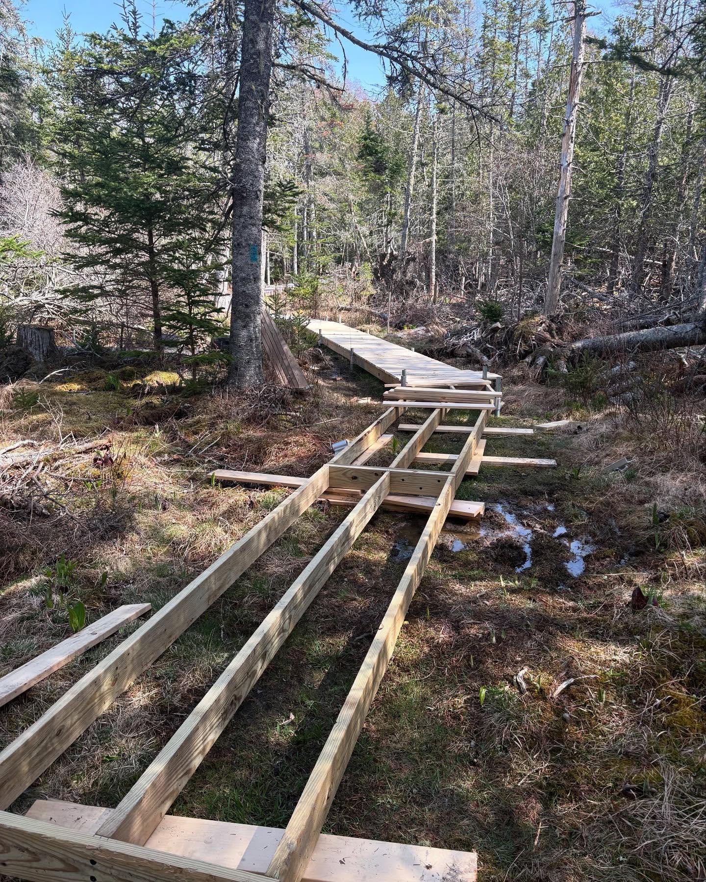 New bridge continuation at Blueberry Hill Preserve. Watch out though, the north side of the trail is still very muddy. I&rsquo;ll be adding more plank bridging as soon as I&rsquo;m caught up on mowing. Enjoy these beautiful late-May days! 
#summerinm