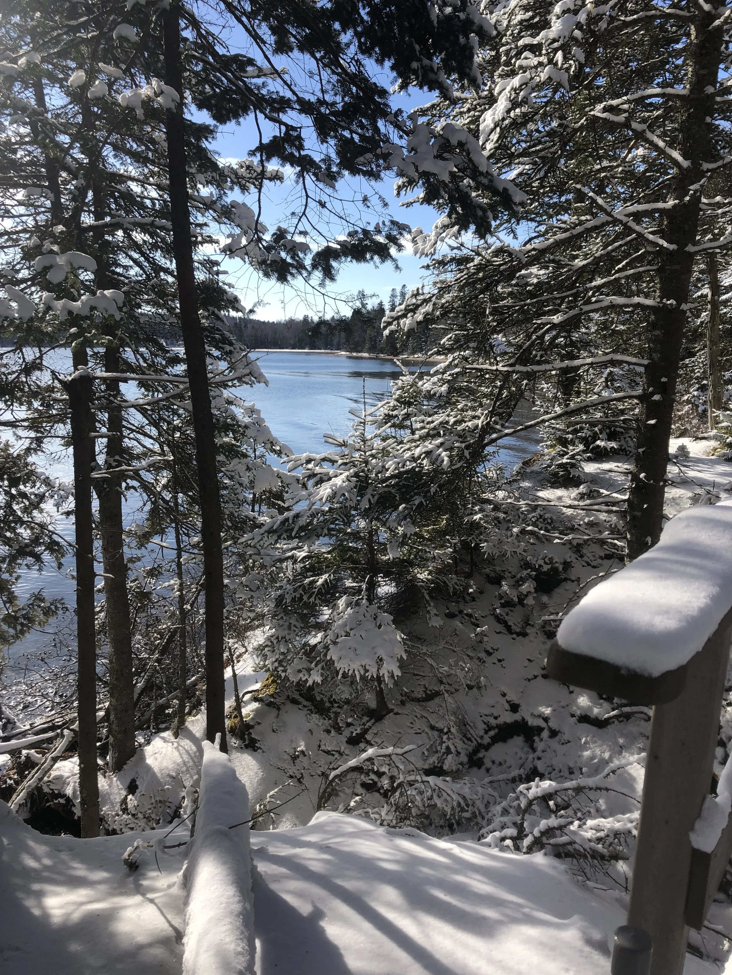 IIT Winter Newsletter: On the Trails - Winter Work