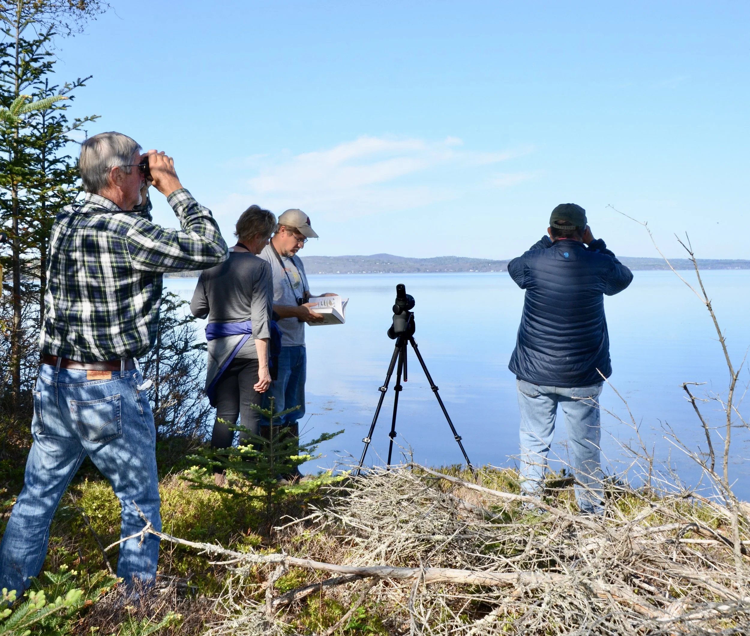 Spring Migration Birding