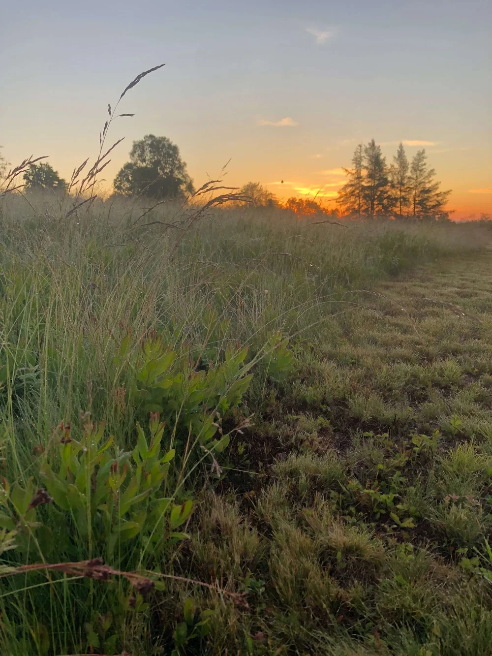 Team — Islesboro Islands Trust