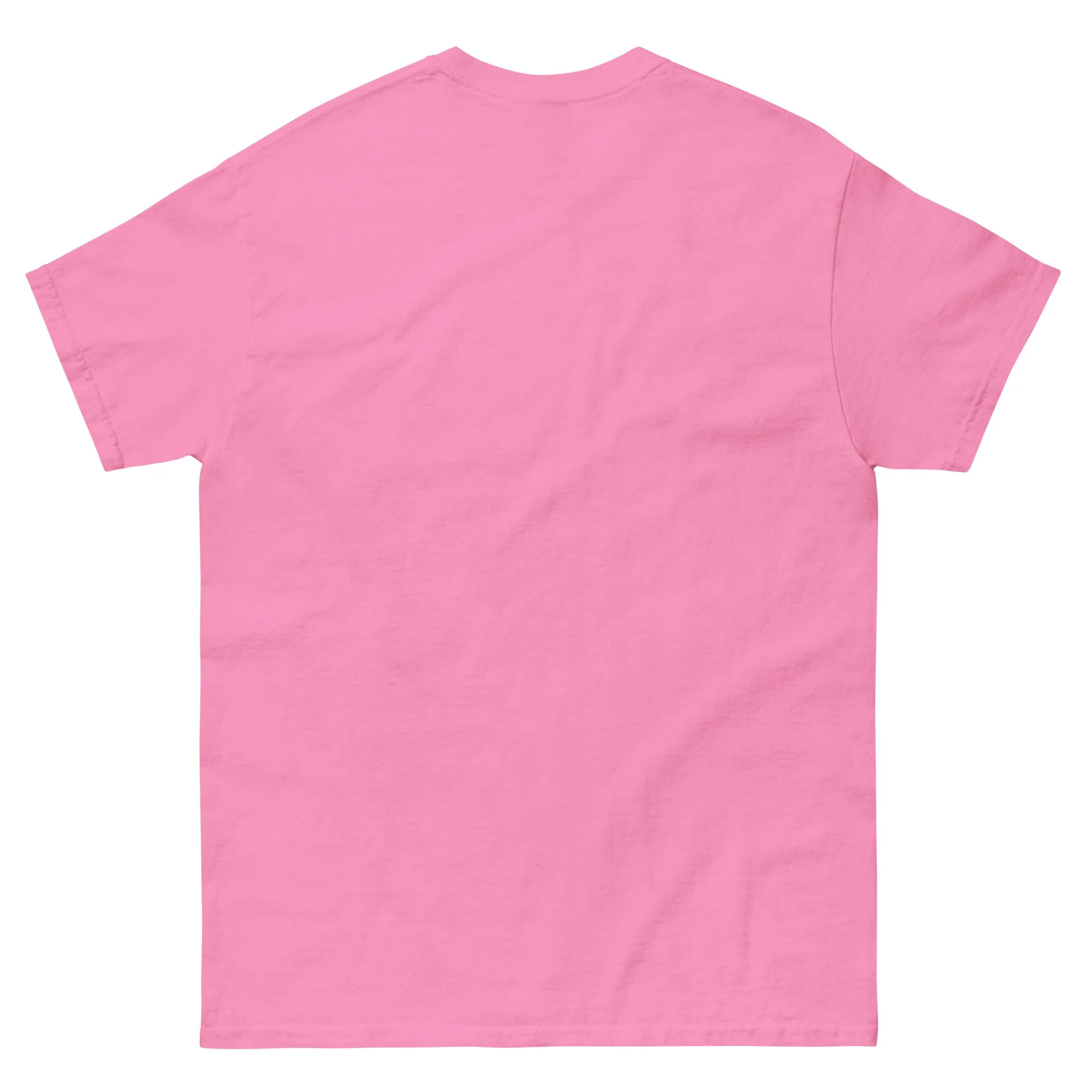 unisex-classic-tee-azalea-back-6899640ad9d9a.jpg