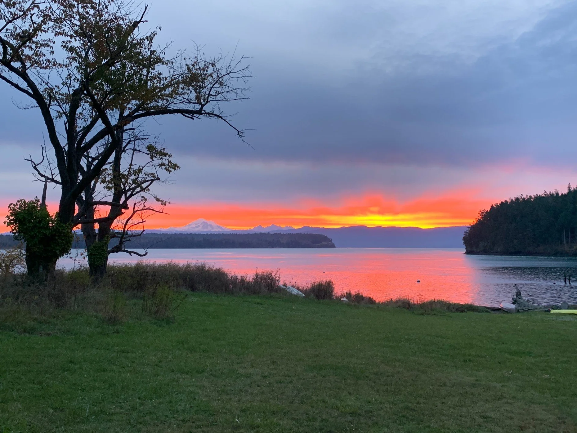 penny hougland therapy lummi island retreat48.jpg
