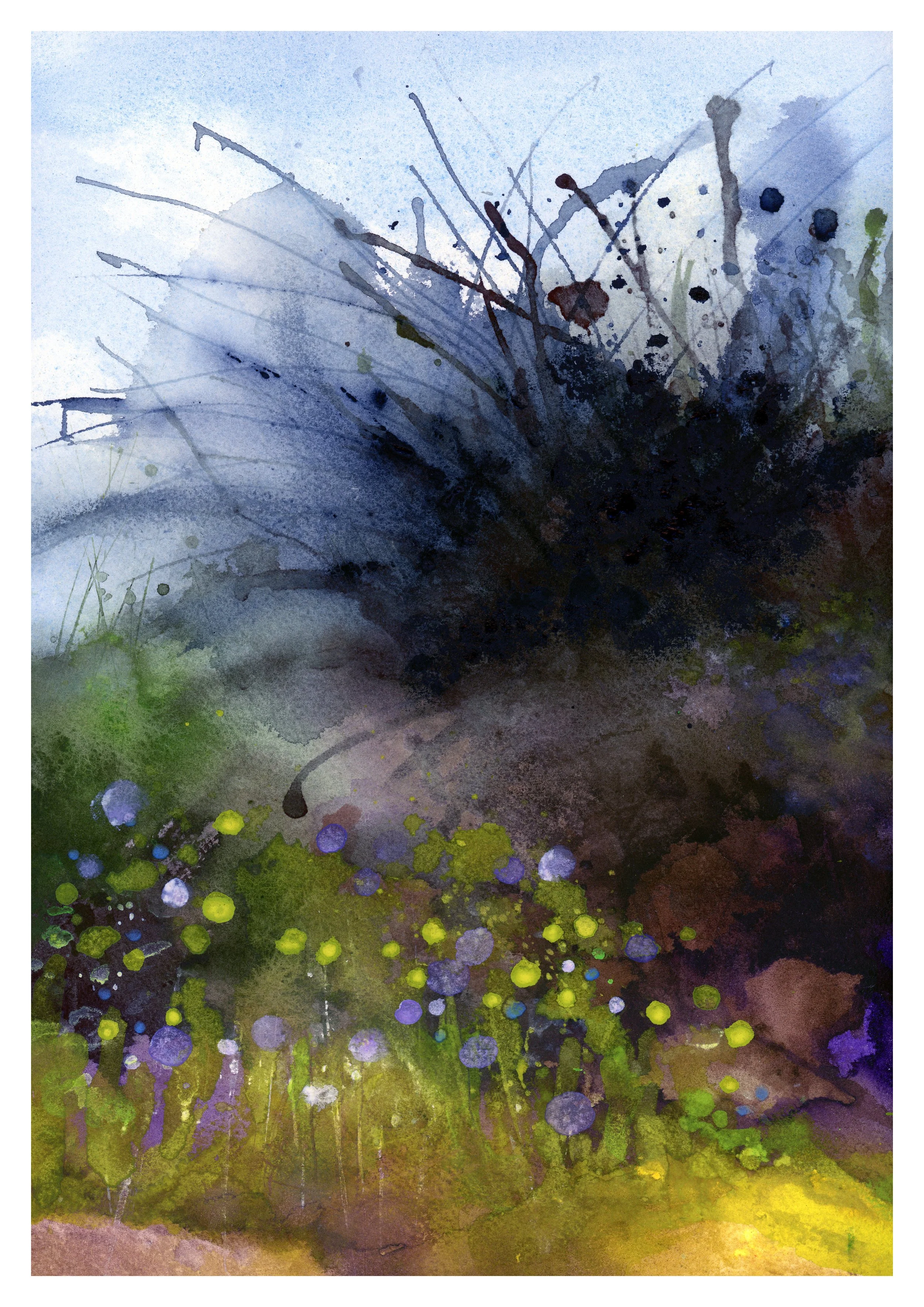 NG083a_After the Storm_2026_WEB.jpg