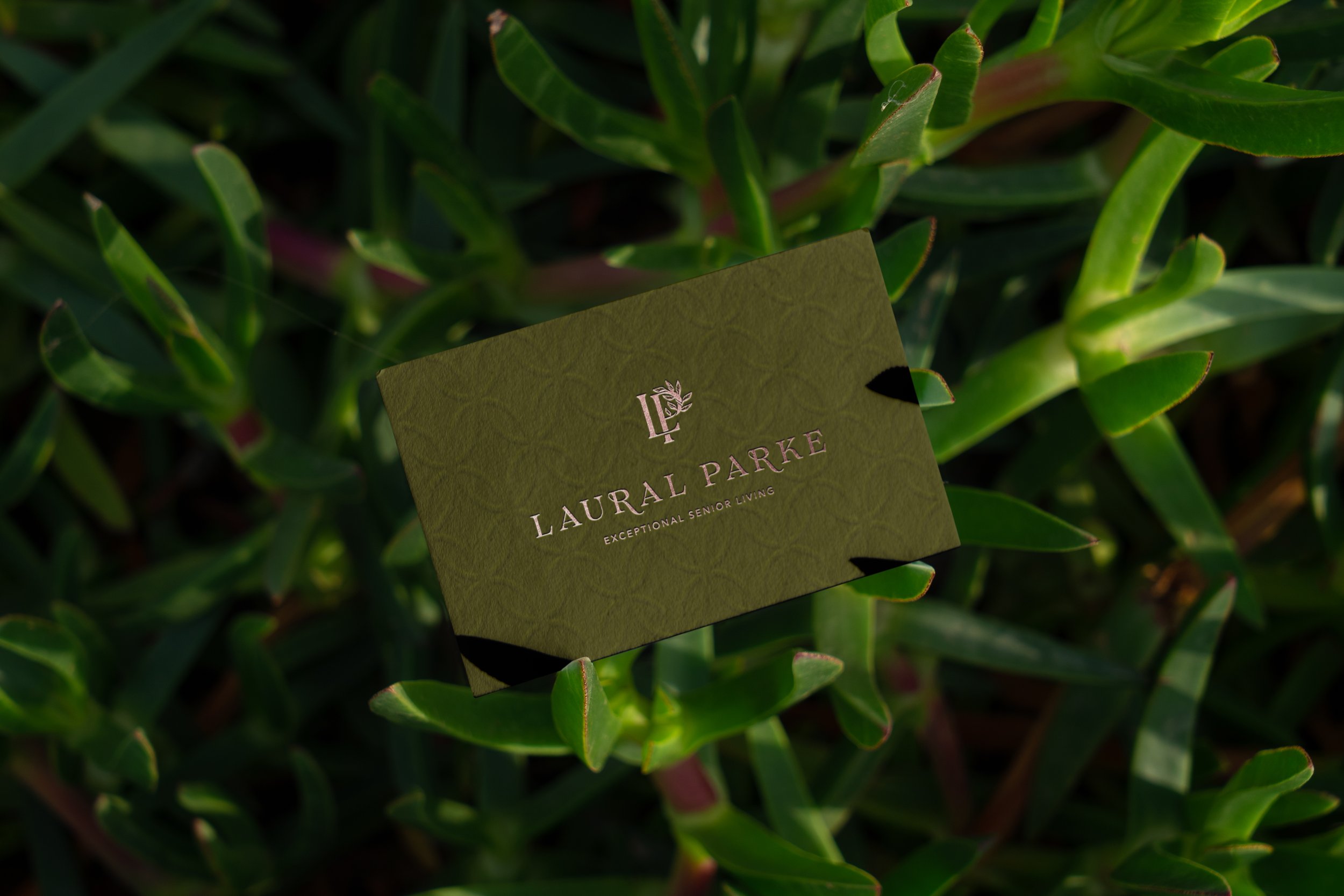 LauralParke_BusinessCard.jpg