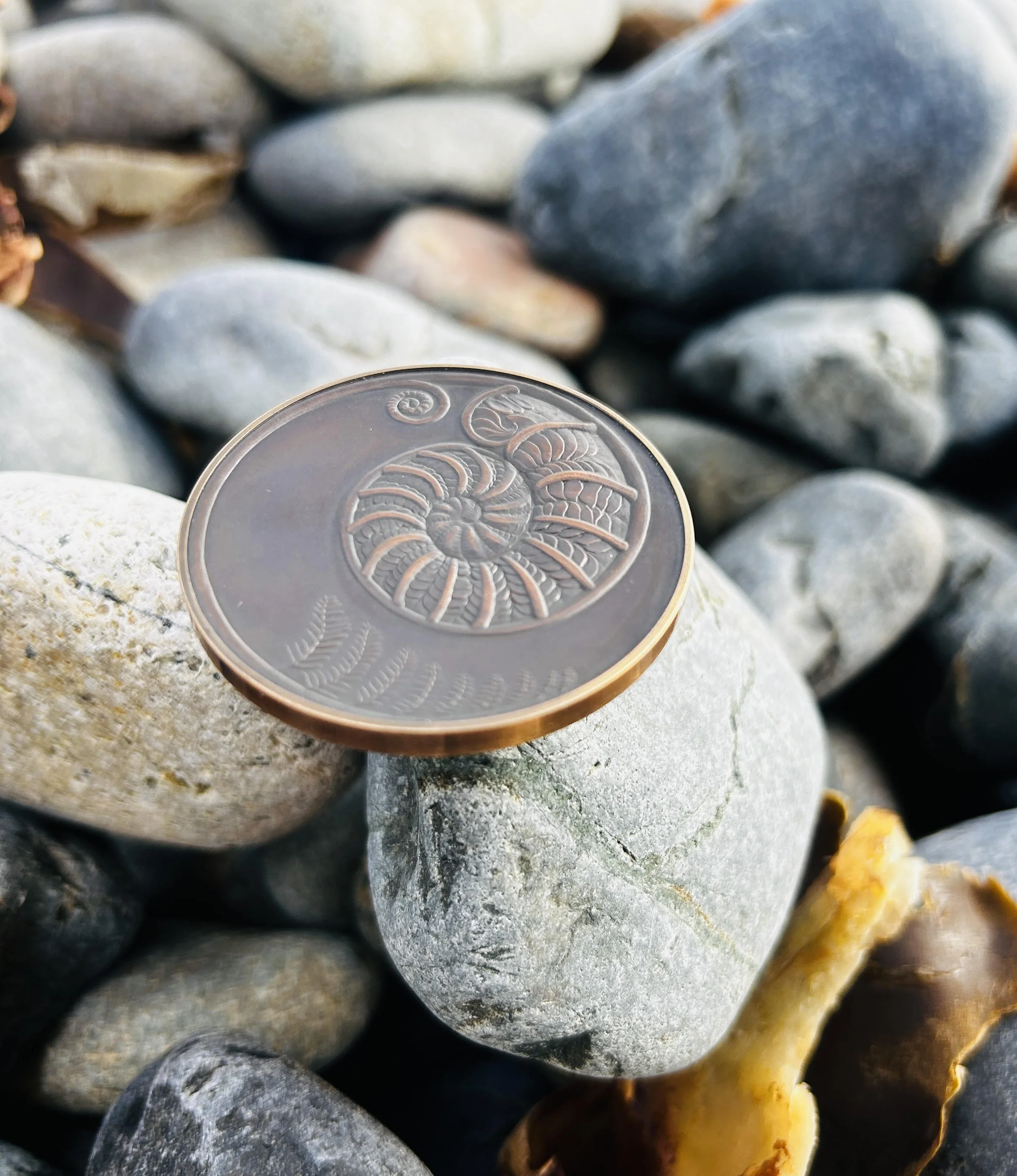 Ro Robertson Awarded RCPS Medal Award