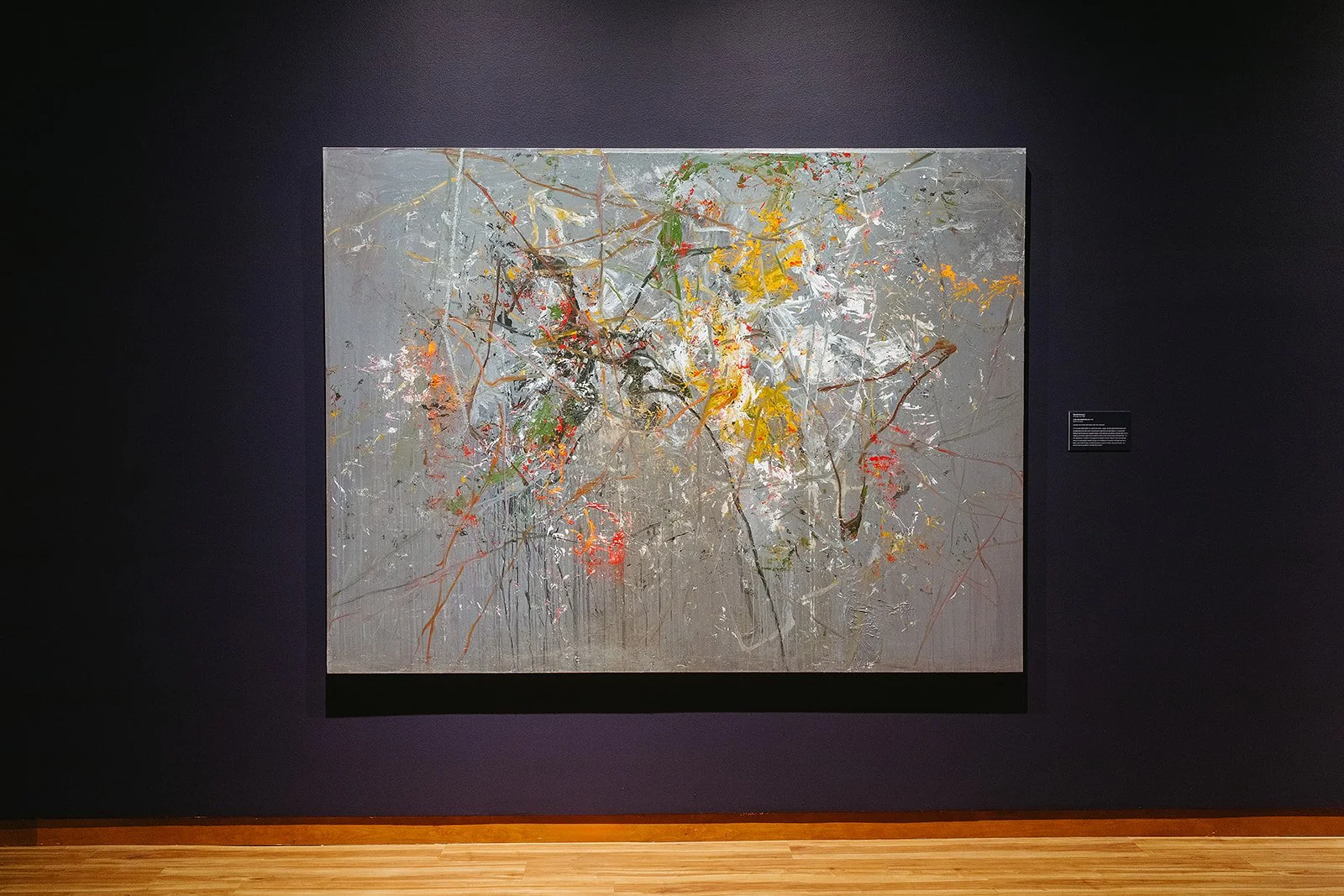 Reginald Sylvester II: Beyond Boundaries, Harvey B. Gantt Center for African-American Arts + Culture
