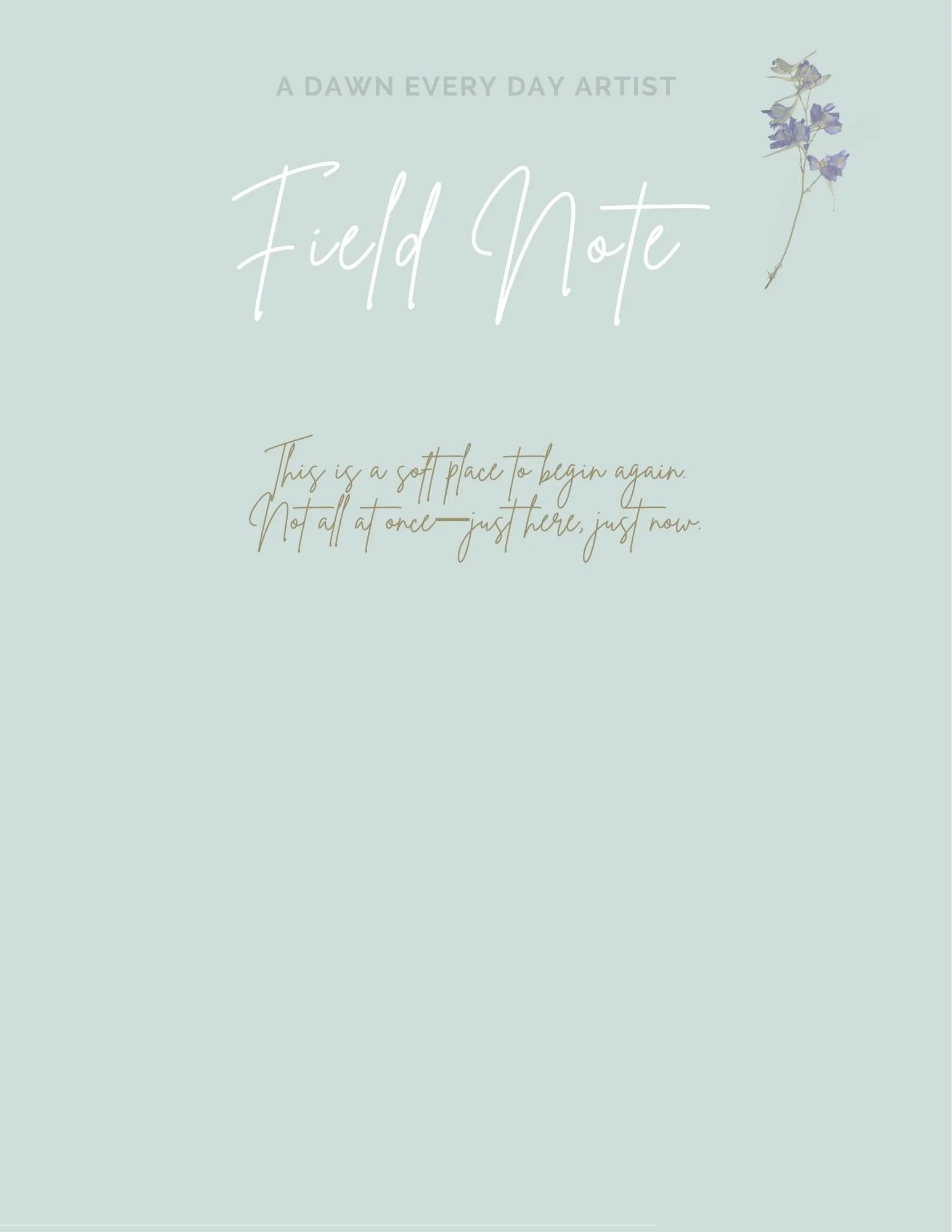 Field Note Companion Guide One Soft Beginnings Download.jpg