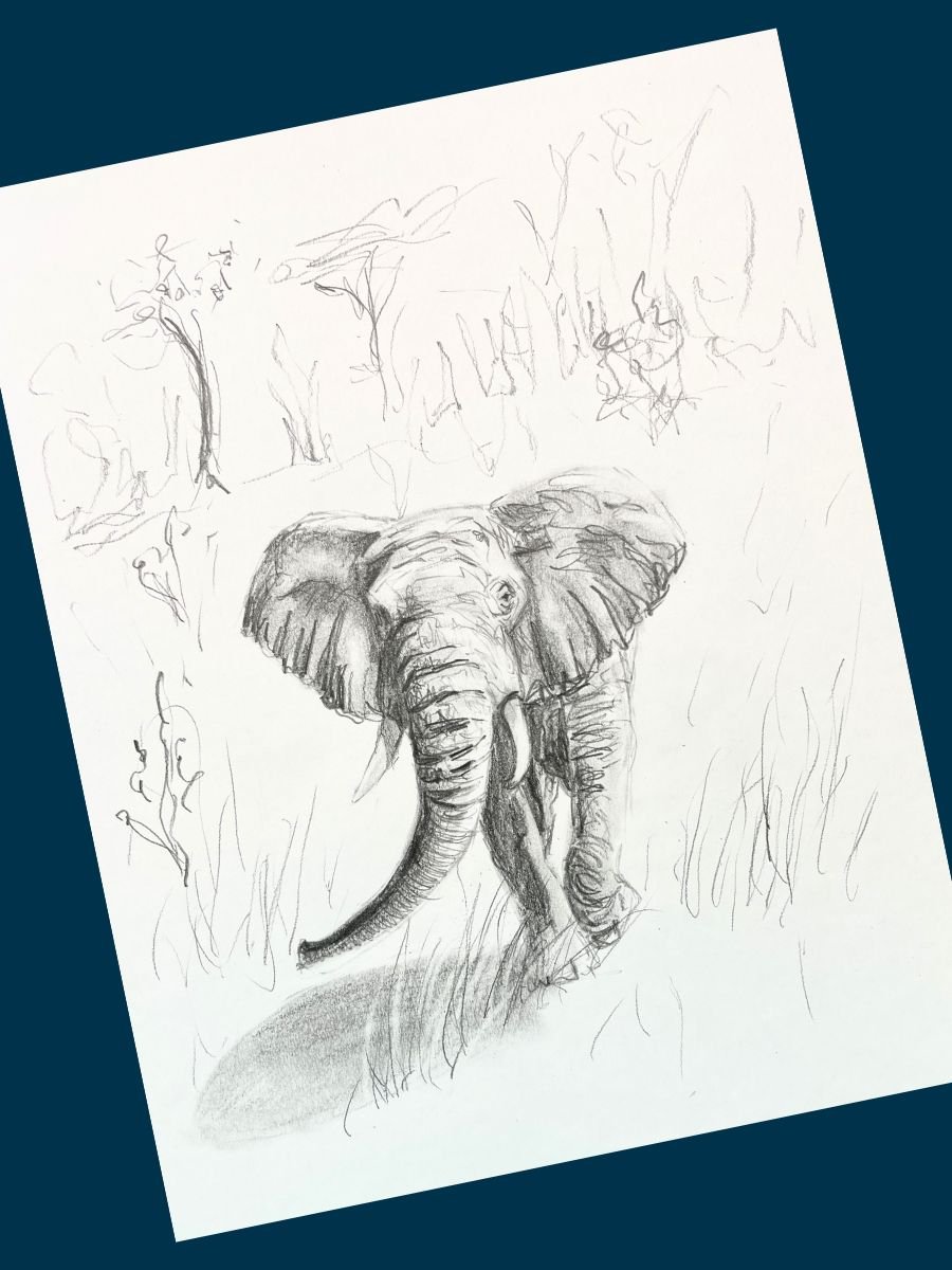 Photo template4.jpg