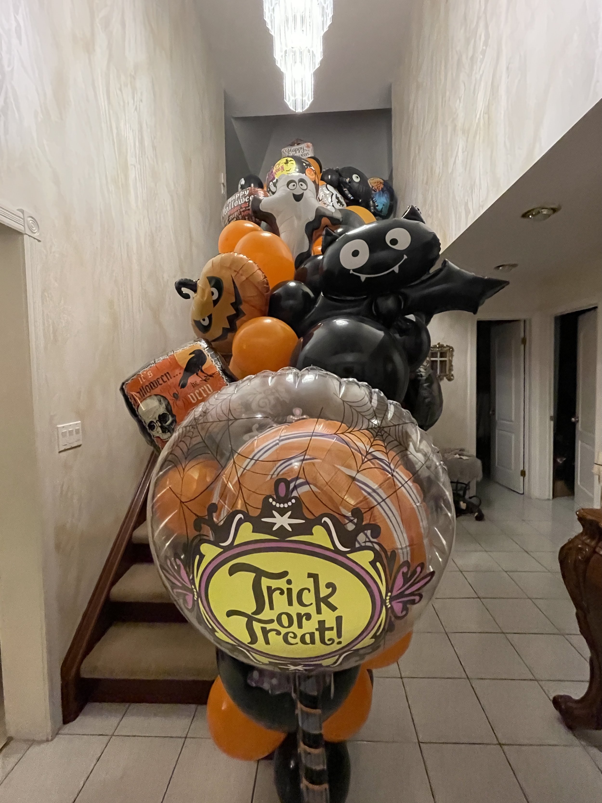 IMG_0491.jpeg