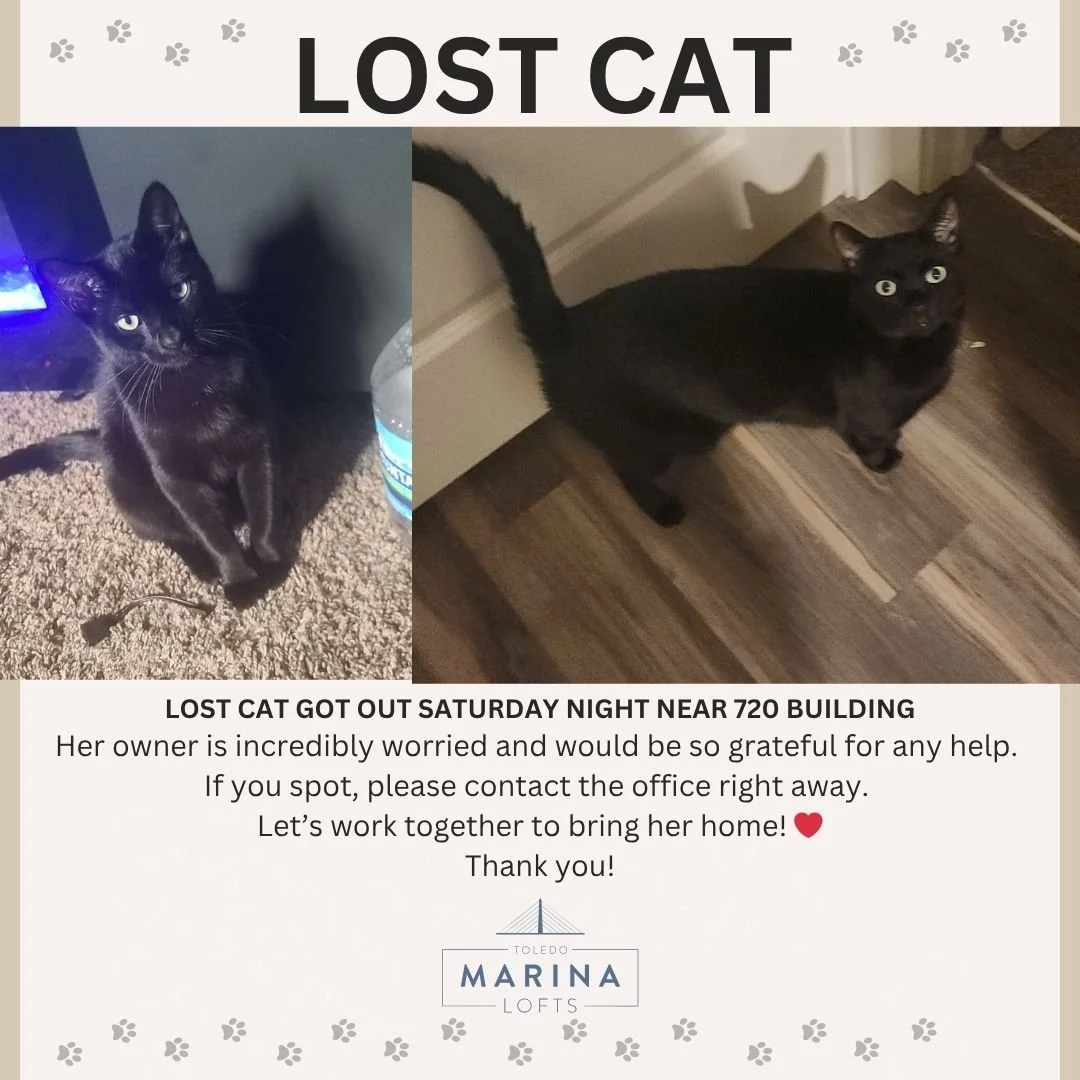 Lost cat got out saturday noght near 720 building
Her owner is incredibly worried and would be so grateful for any help. 
If you spot, please contact the office right away. 
Let&rsquo;s work together to bring her home! ❤️
Thank you!