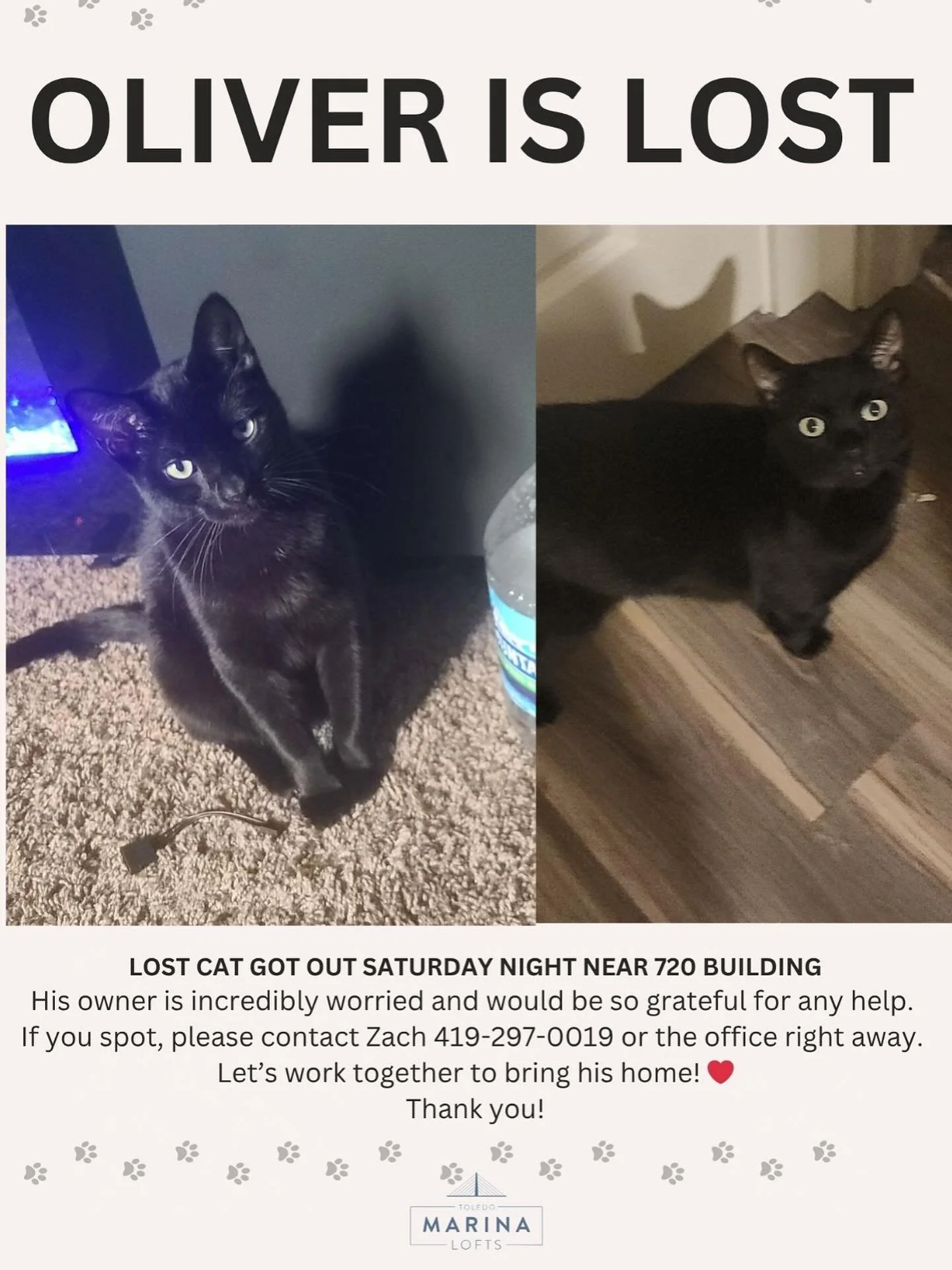 🚨 LOST CAT &ndash; PLEASE SHARE 🚨
Sweet Oliver slipped out near the 720 building on Saturday night and hasn&rsquo;t made his way back home yet. His owner is incredibly worried and would be so grateful for any help.

If you spot him, please contact 