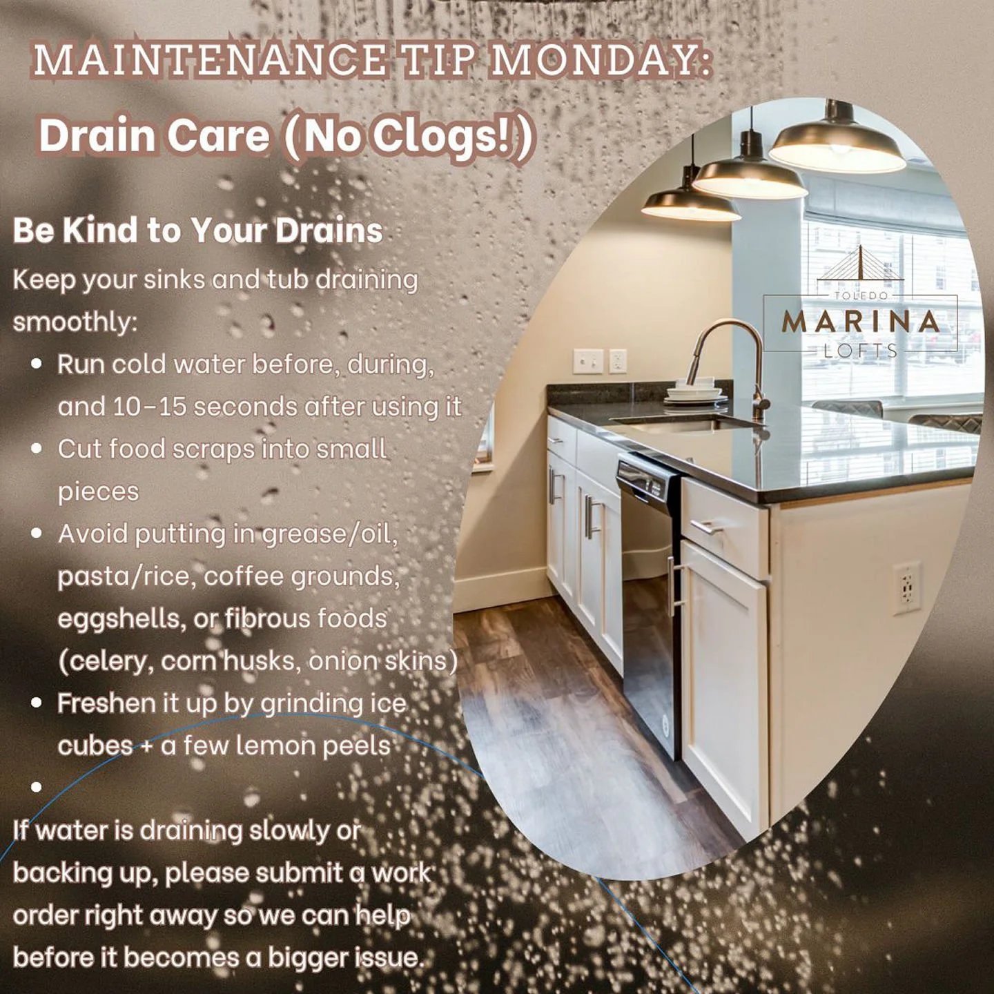 Marina Lofts' Maintenance Tip Monday